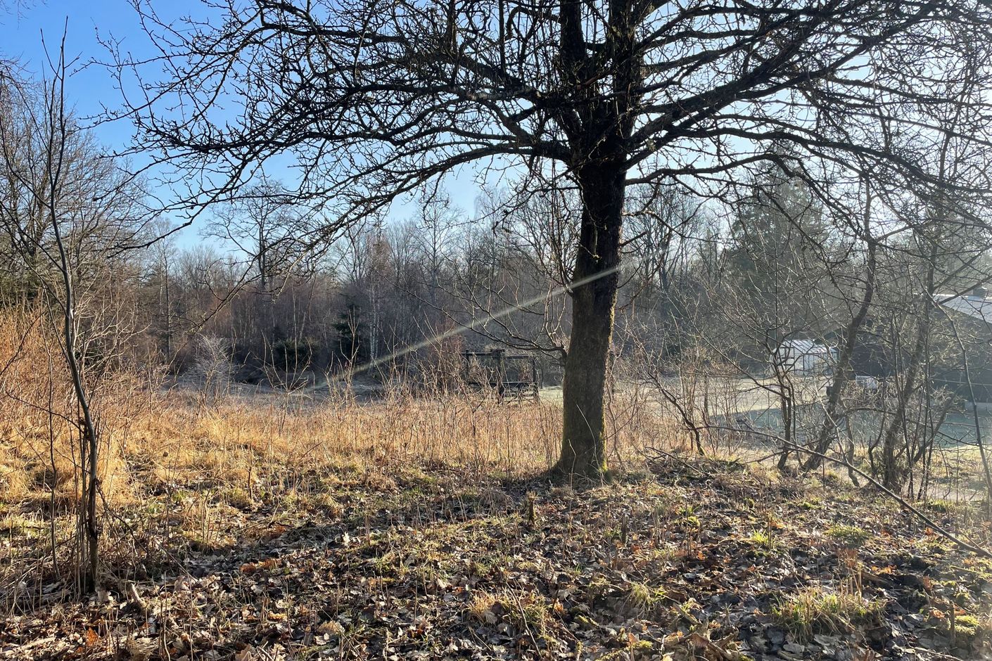 Bild tagen från högsta punkten på tomten