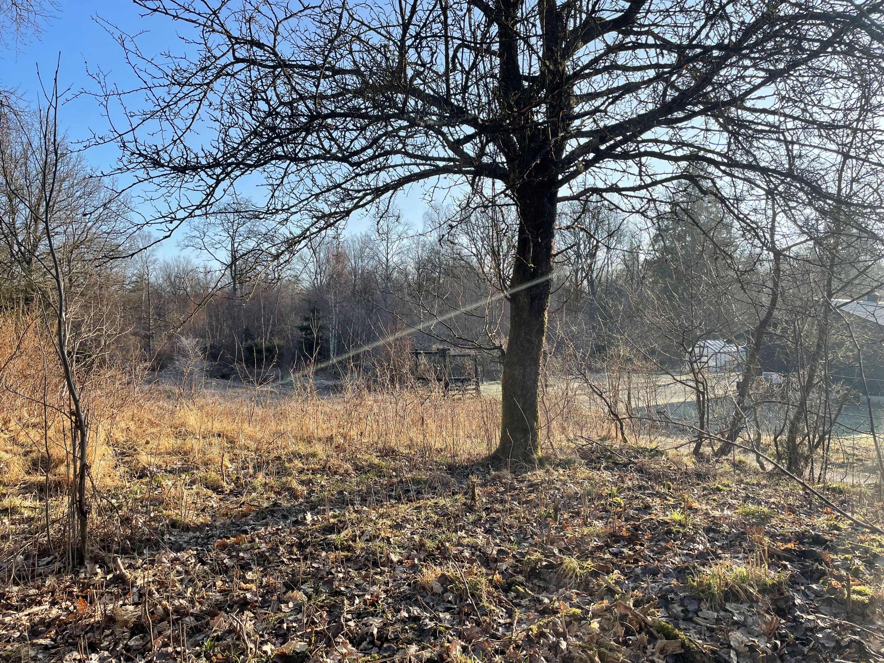 Bild tagen från högsta punkten på tomten