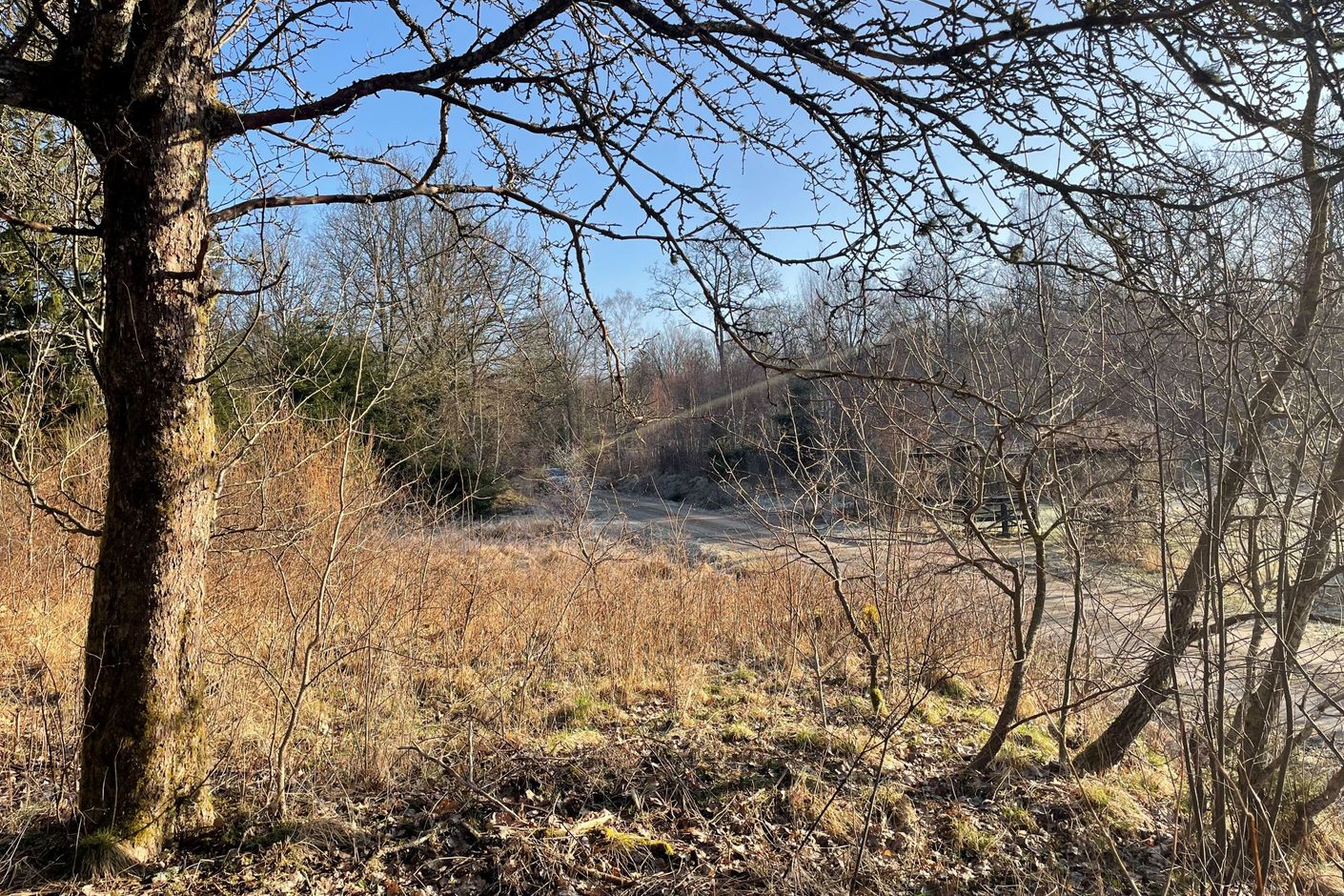 Vy från tomten ned mot vägen