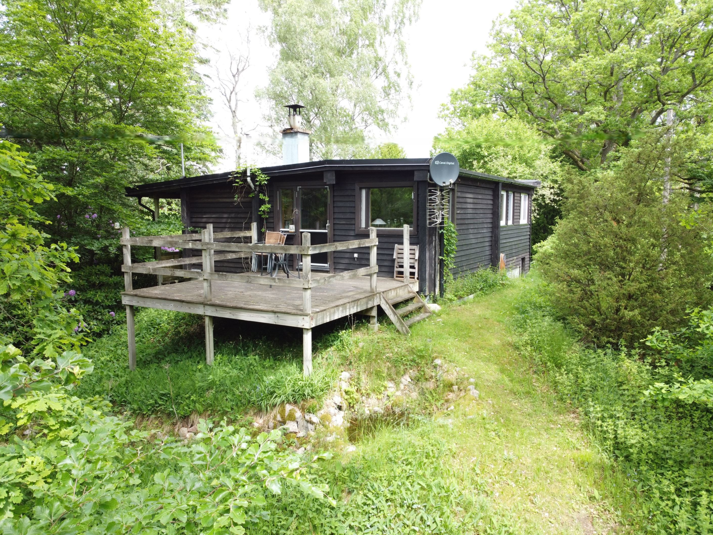 Terrass mot skogen på baksidan av huset