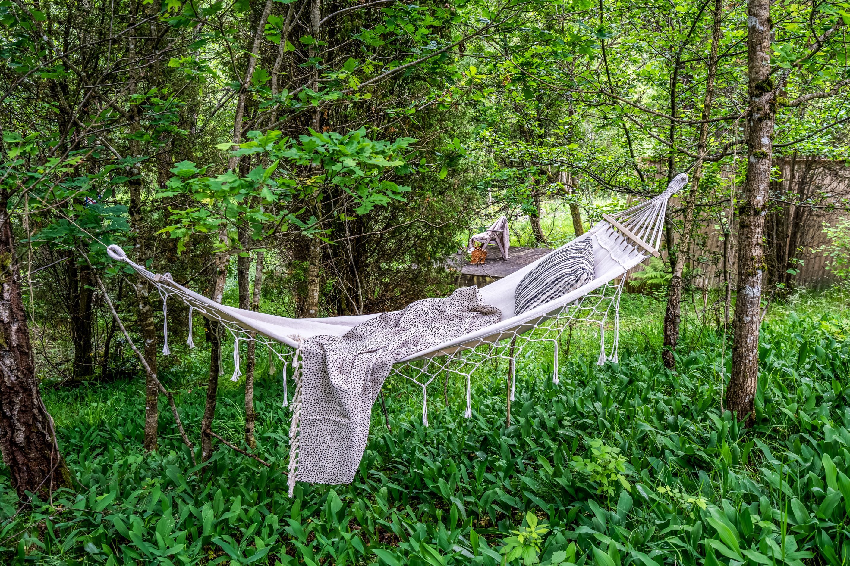 Koppla av mitt i skogen och lyssna till fågelkvitter