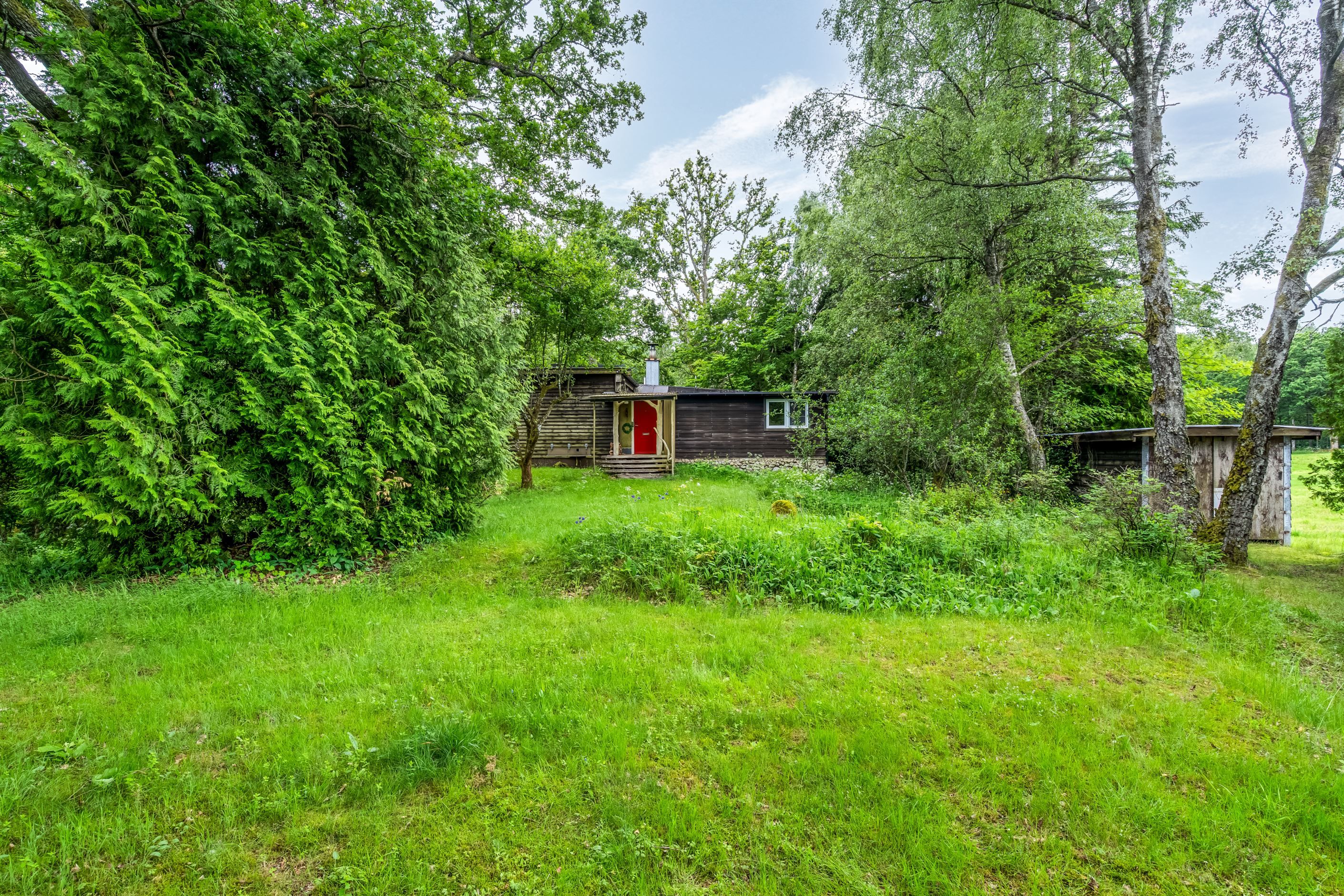 Stugan ligger inbäddad i grönska