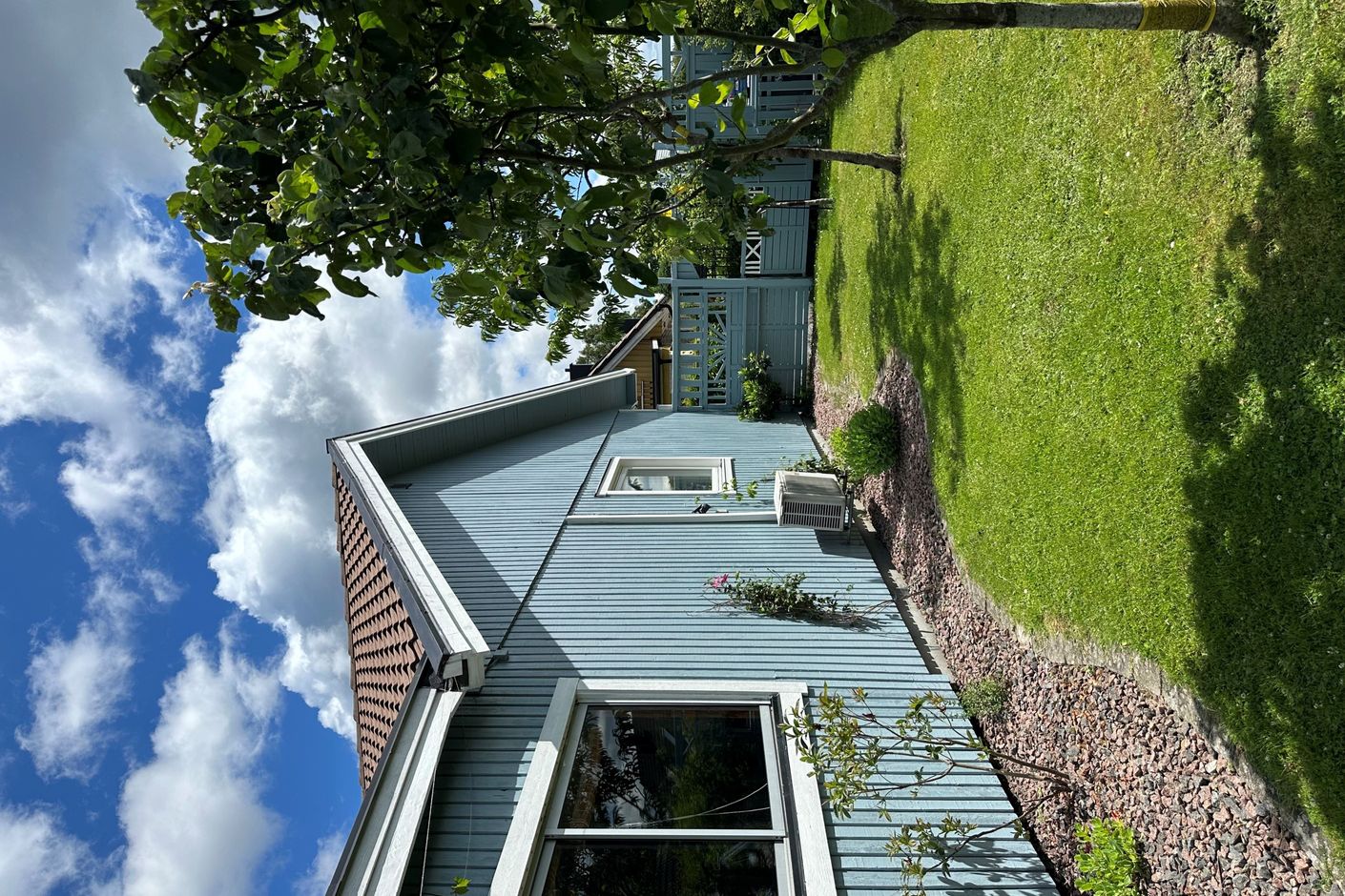 Trädgård