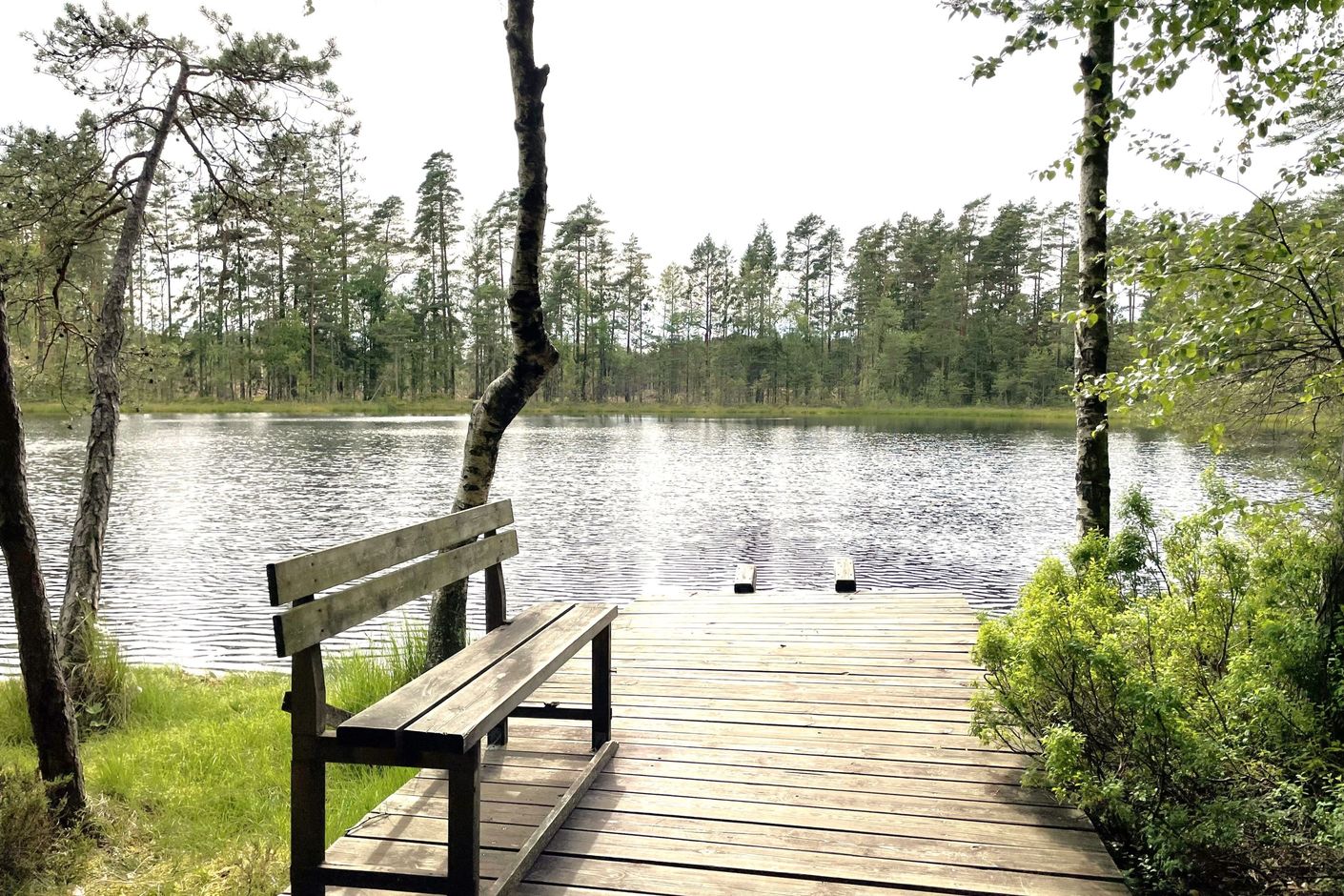Brygga vid Svinasjön ca 500 m från stugan