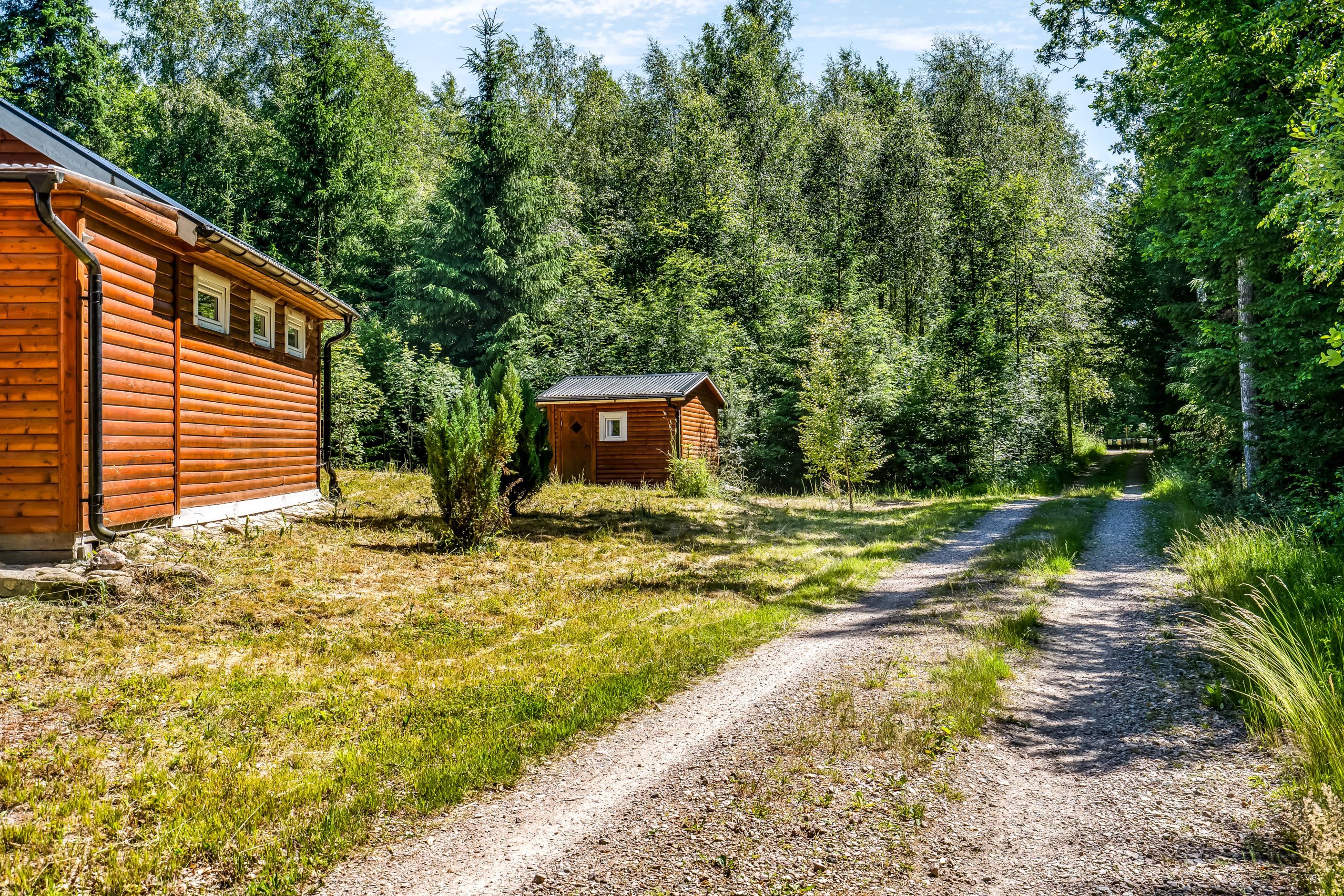 Skogsvägen som leder förbi stugorna