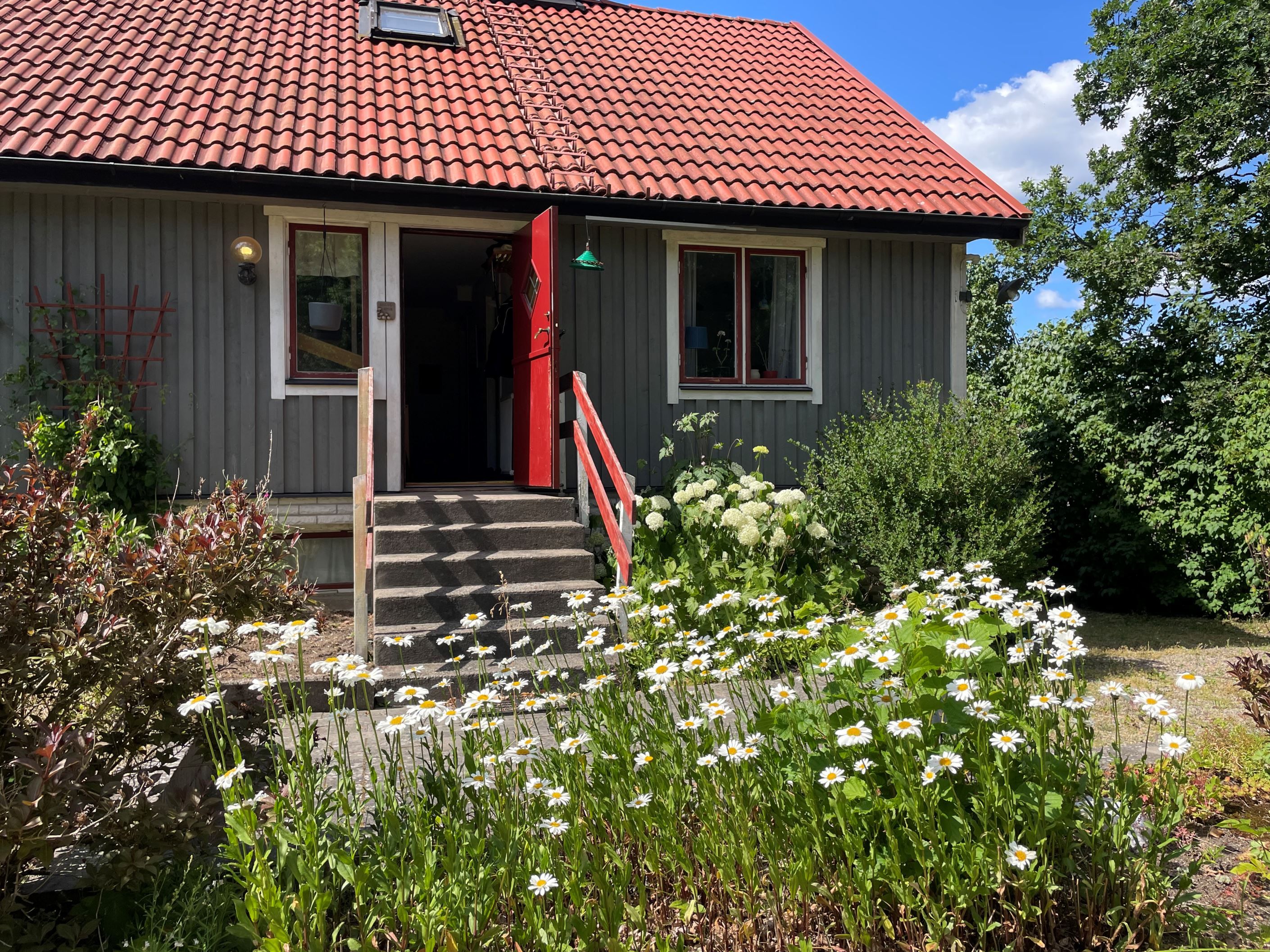 Exteriör