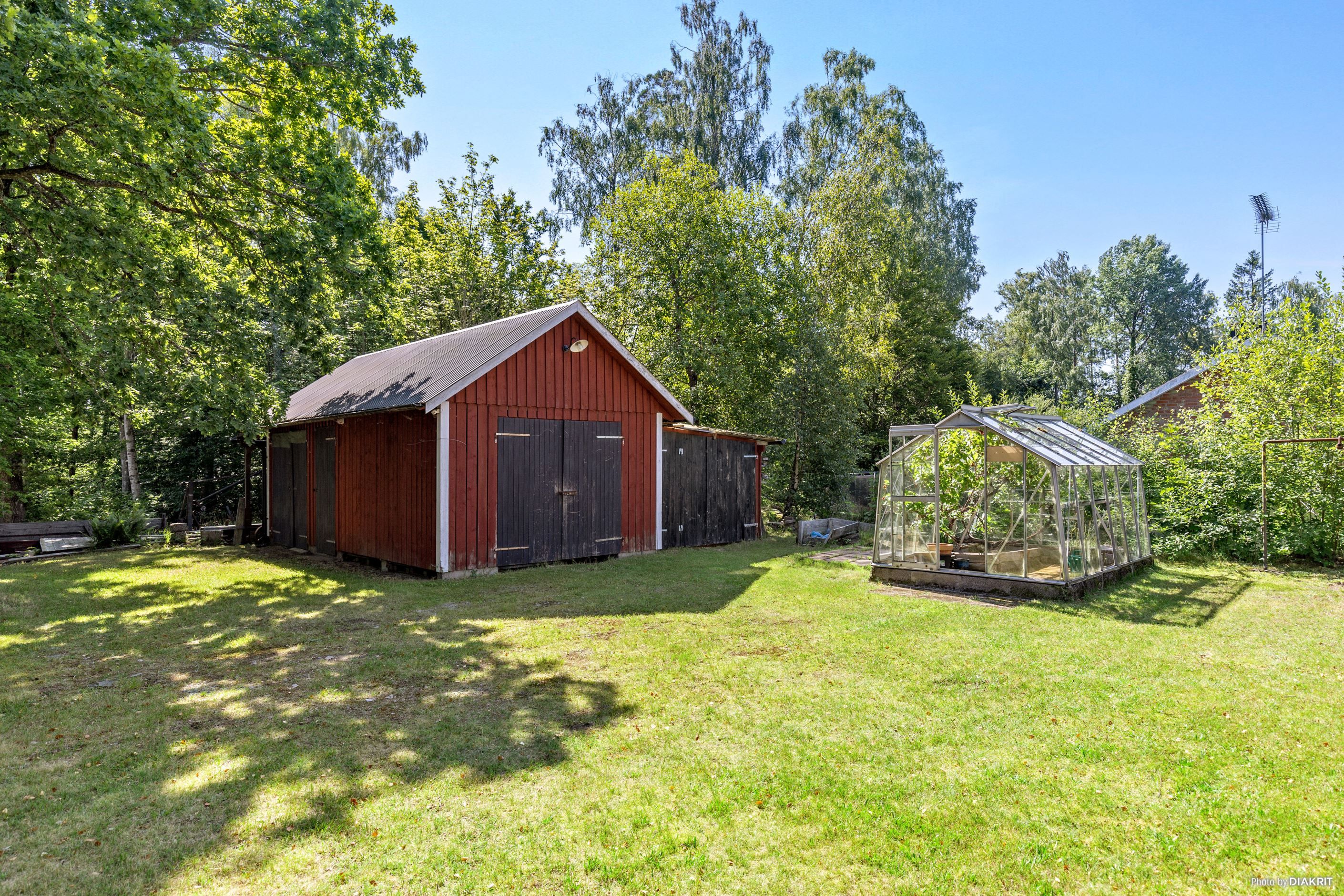 Trädgård
