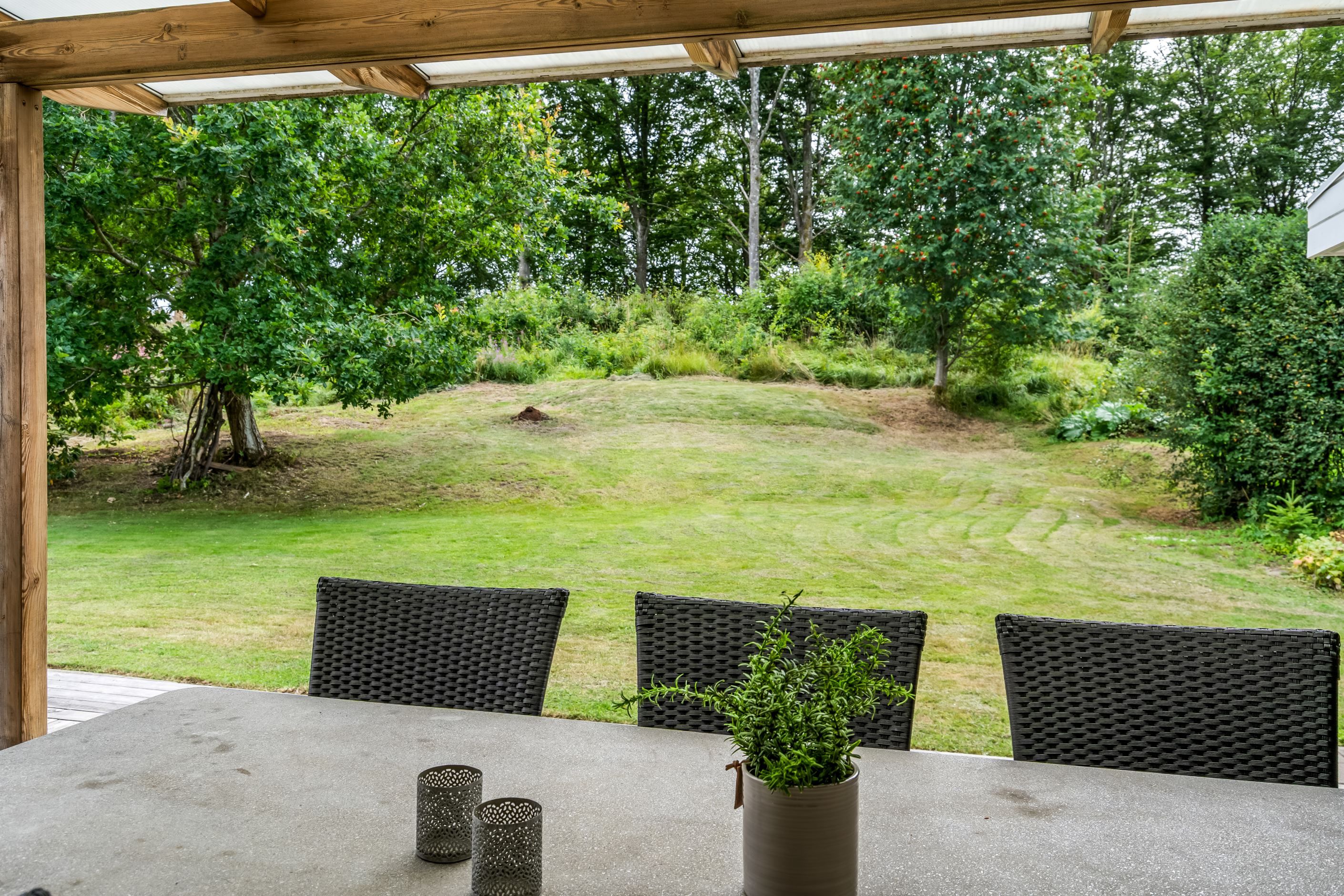 Trädgårdens baksida är inramad av träd och buskar