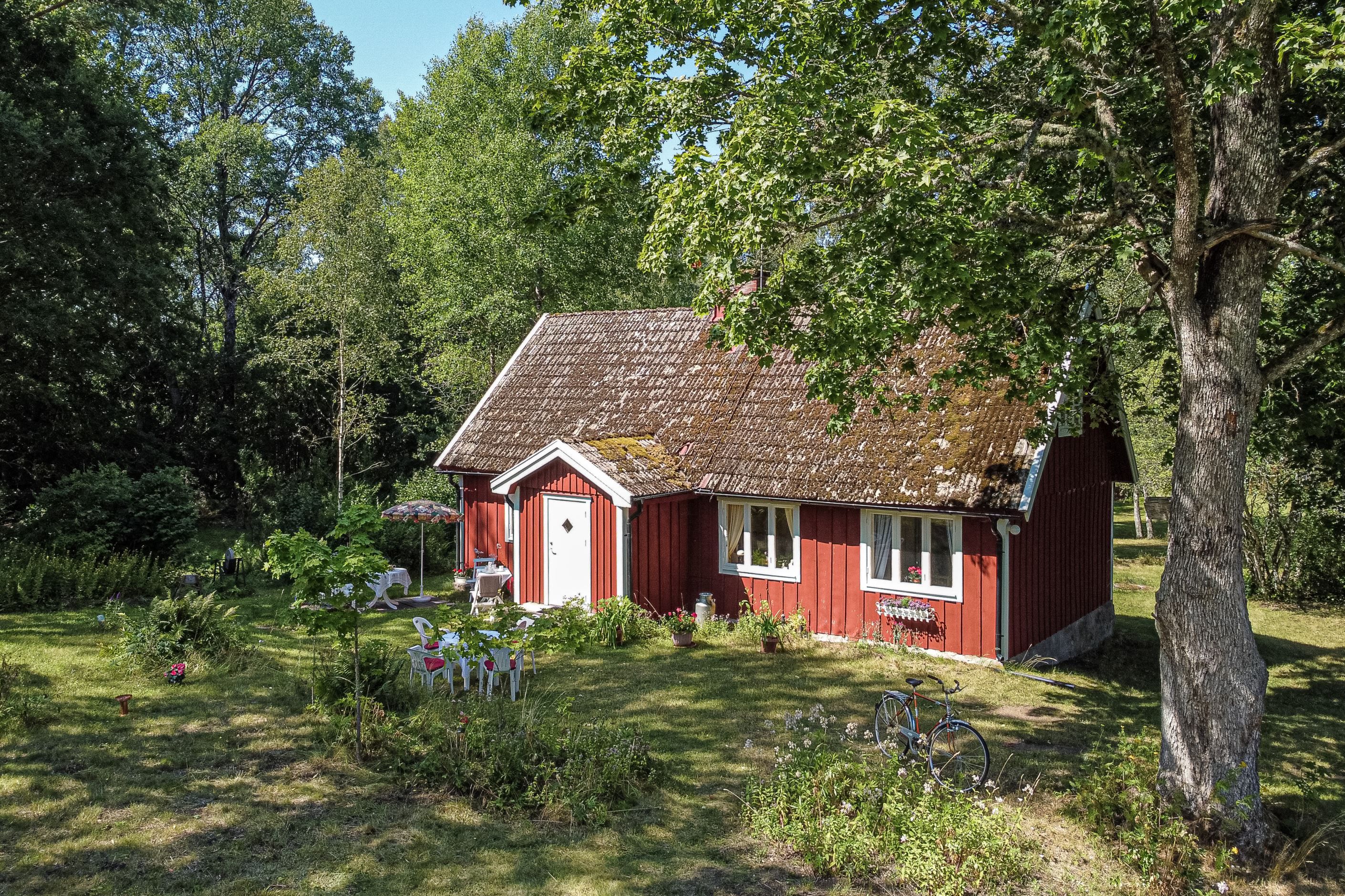 En svensk idyll med skogen som närmsta granne