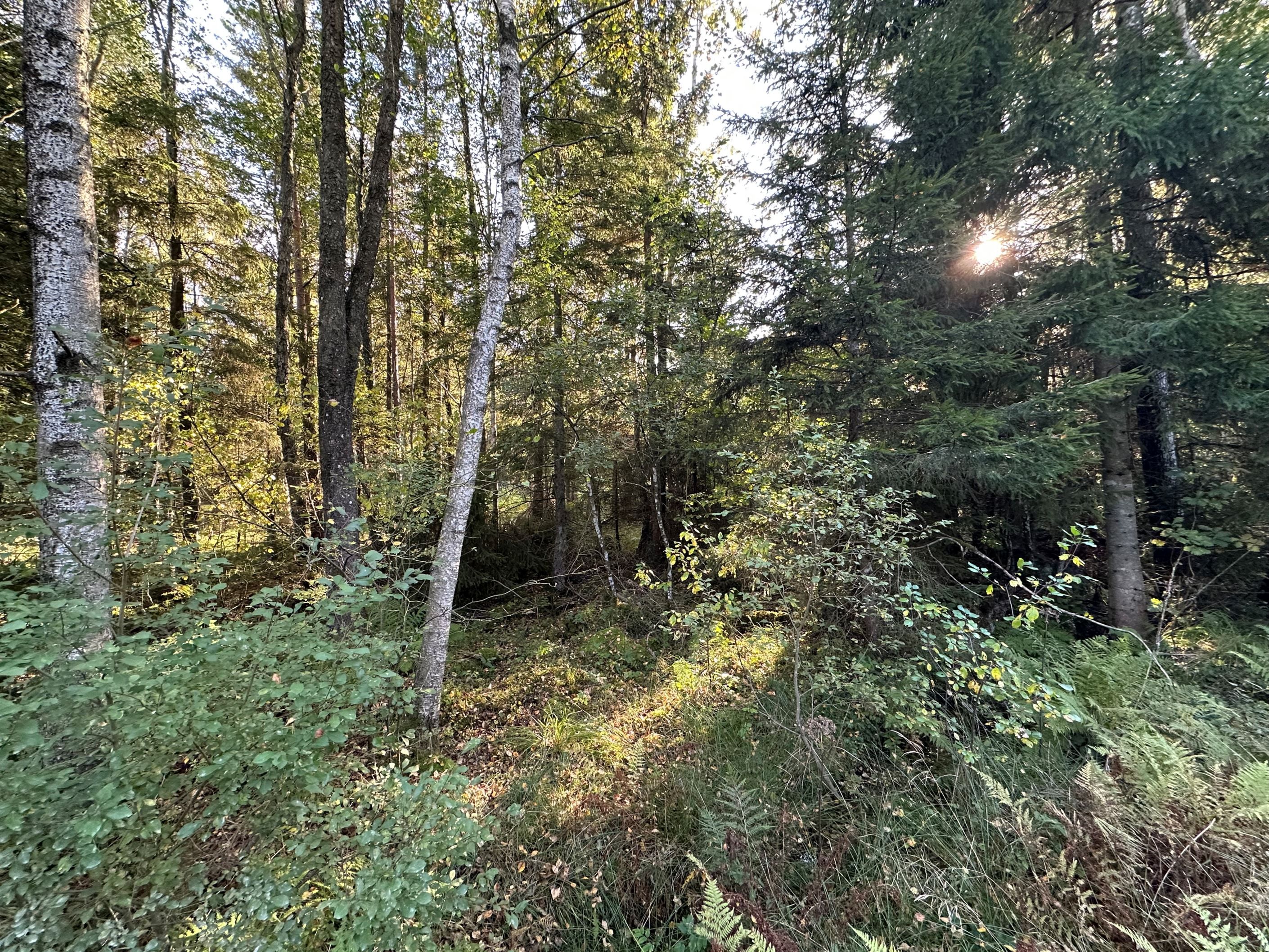 Bild 2 från HusmanHagberg