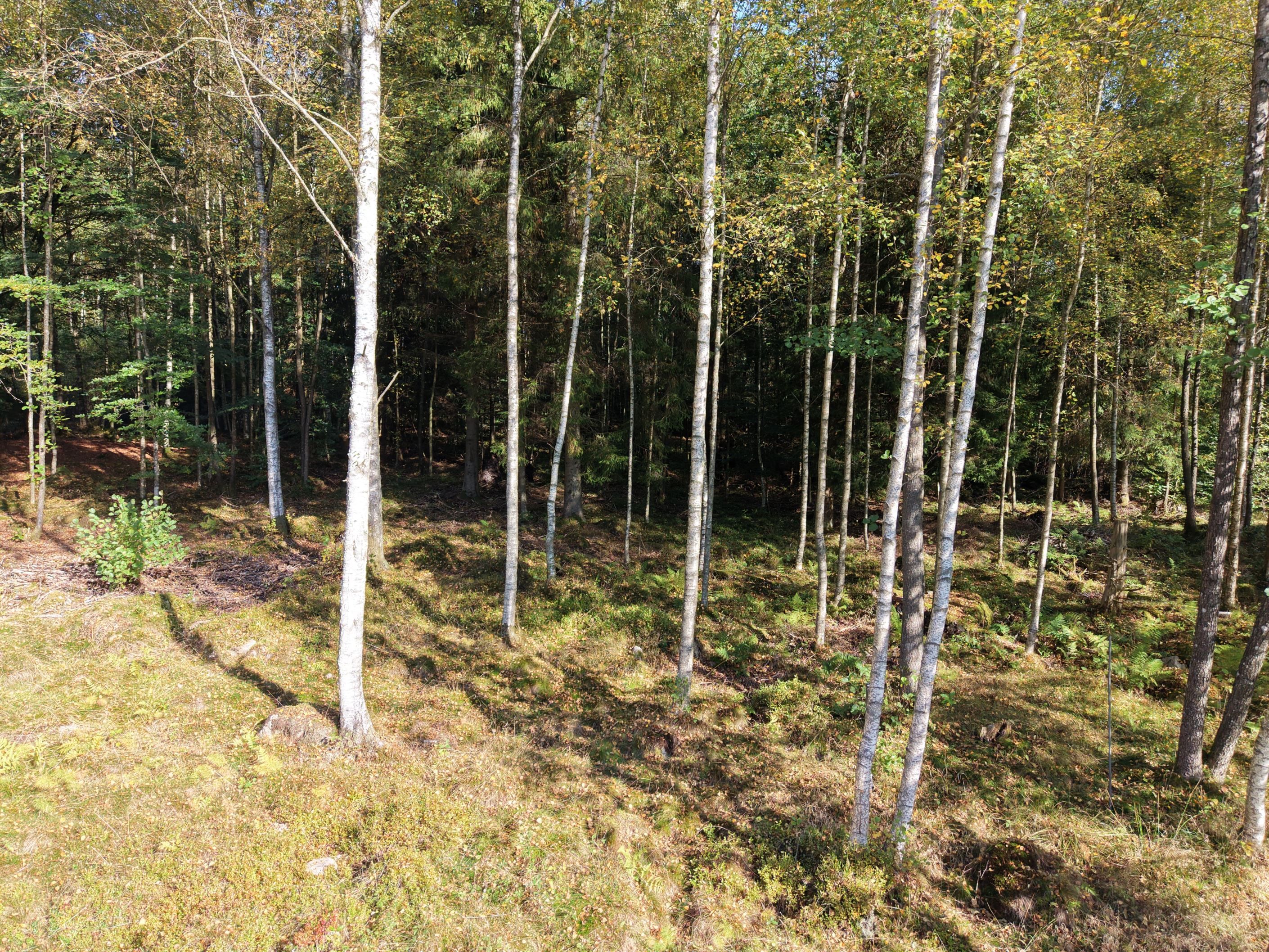 Bild 2 från HusmanHagberg