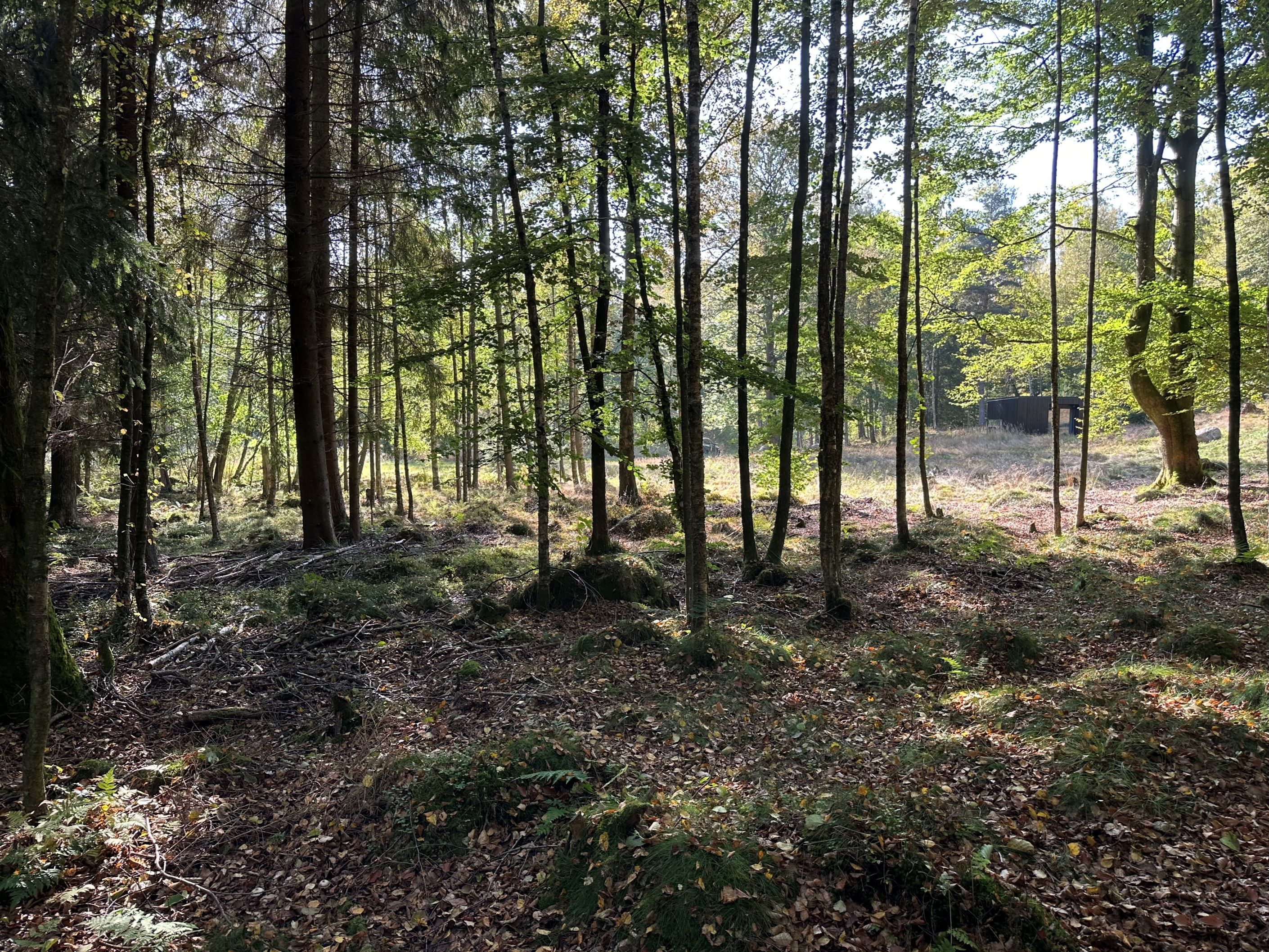 Bild 3 från HusmanHagberg
