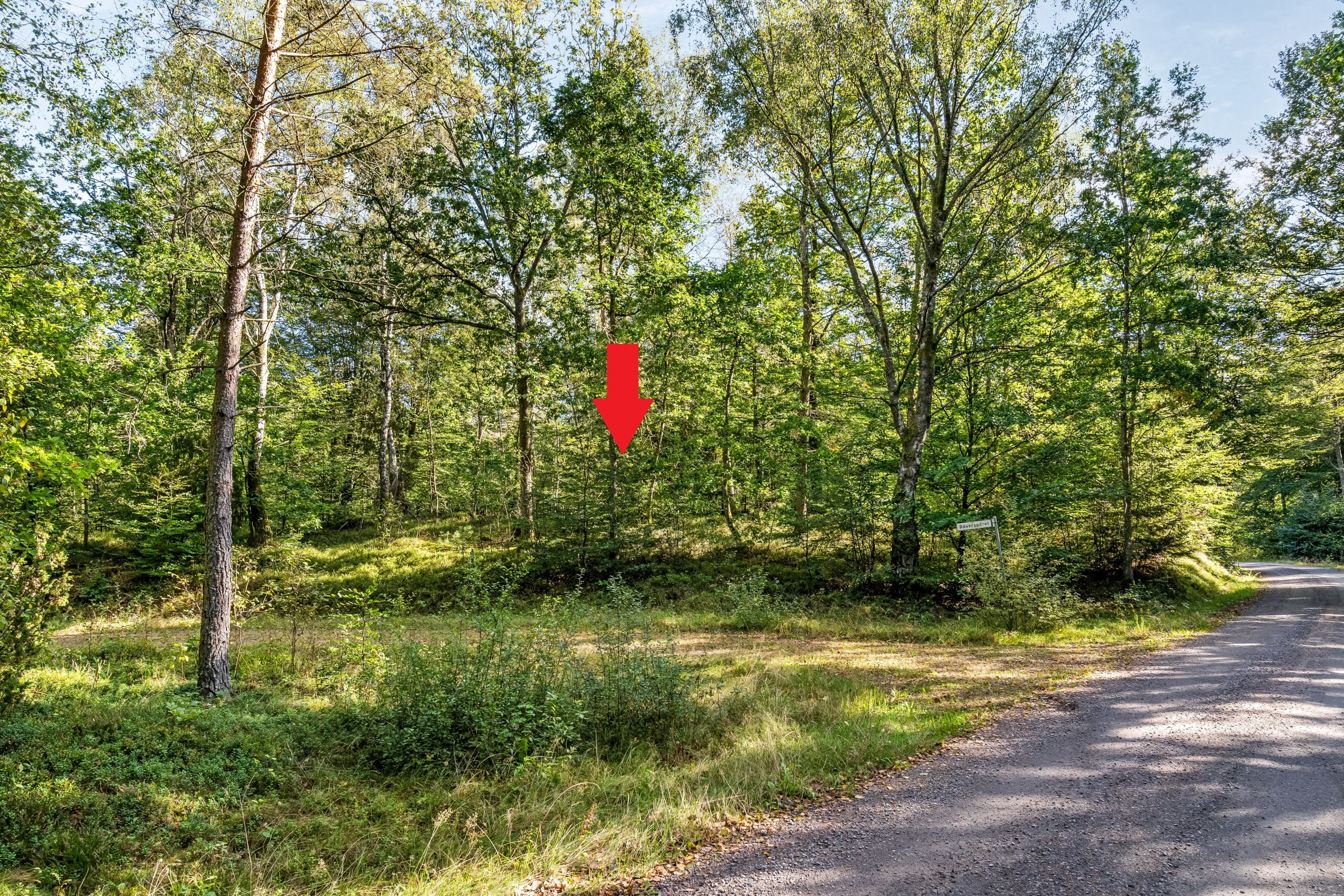 Bäverspåret 2