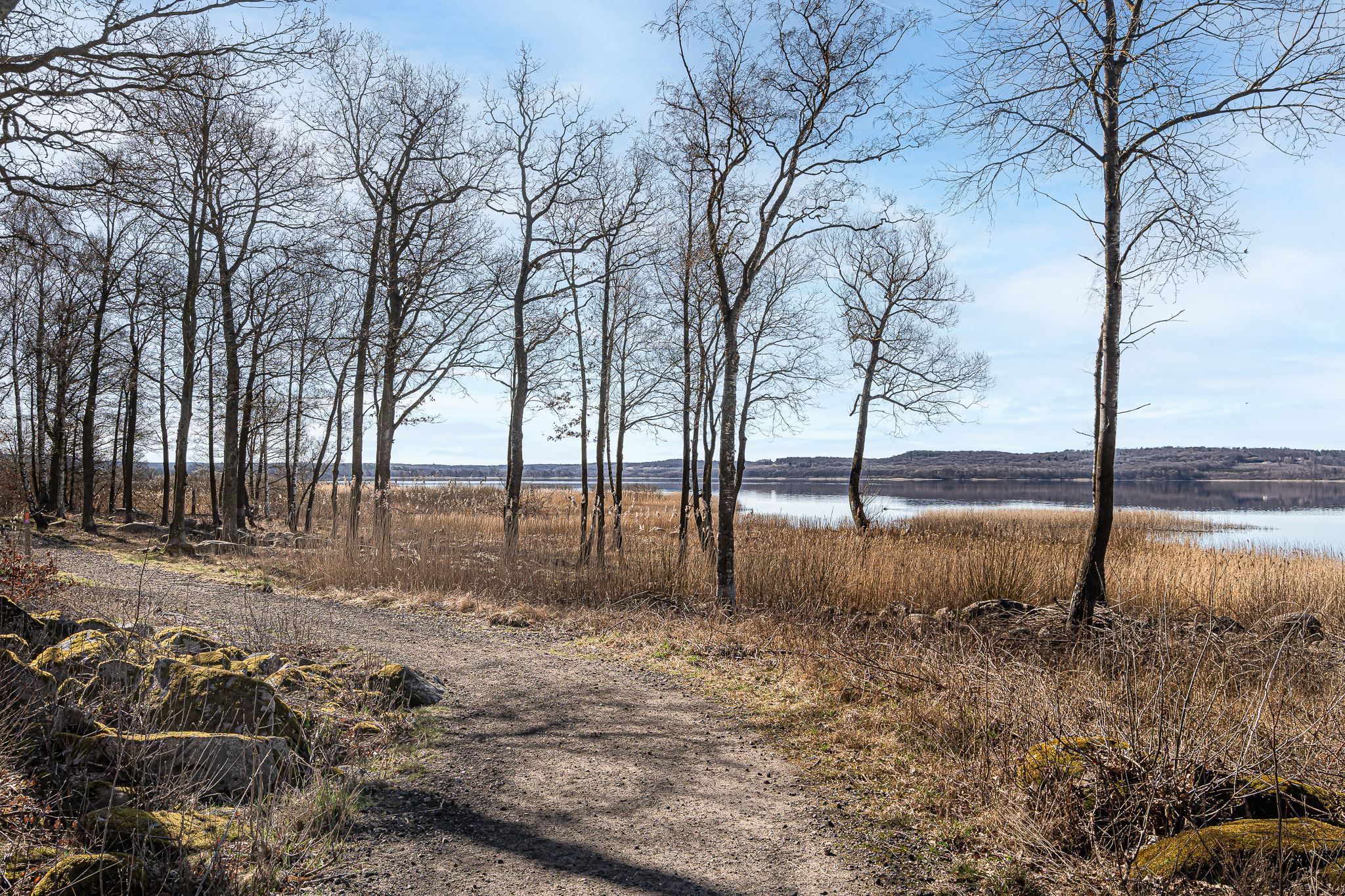 Finjasjön endast 200 meter från hemmet