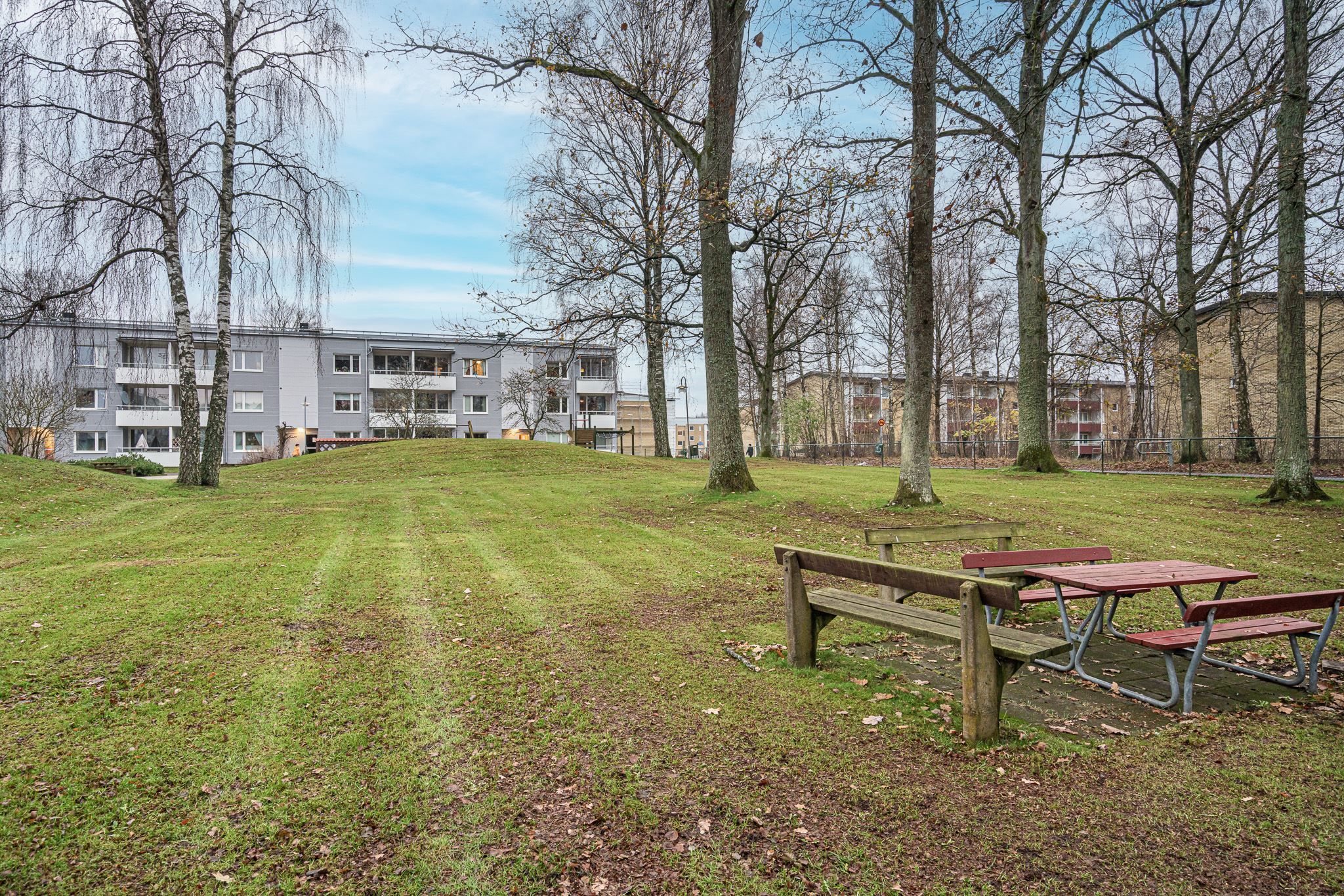 Mysig grönskande miljö utanför