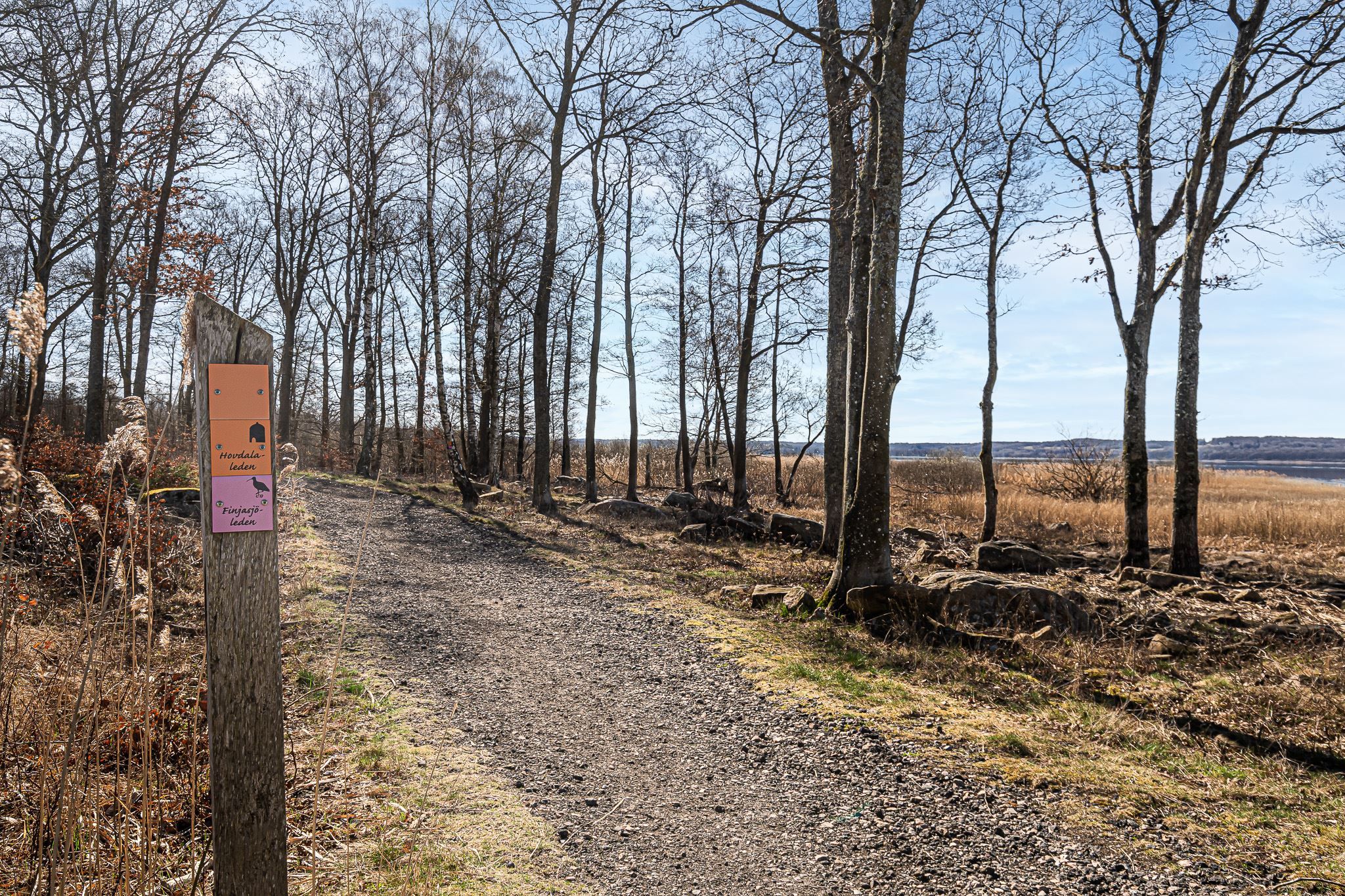 Finjasjön med promenadslingor alldeles i närheten