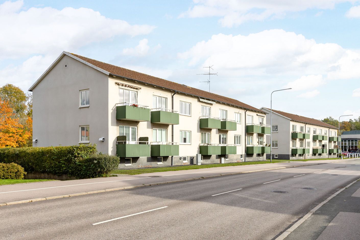 Exteriör