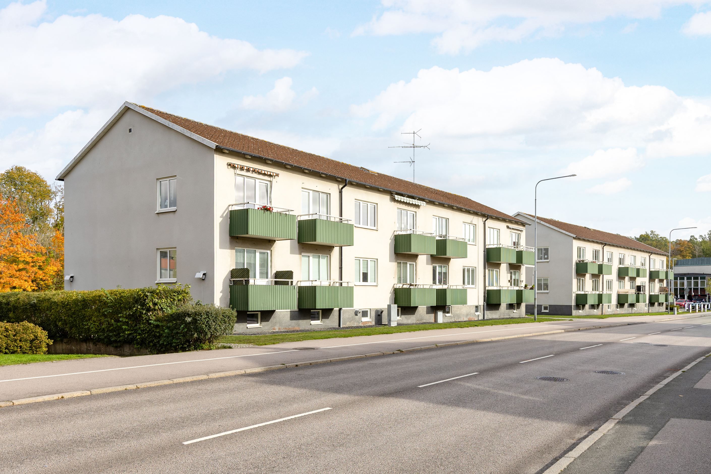 Exteriör