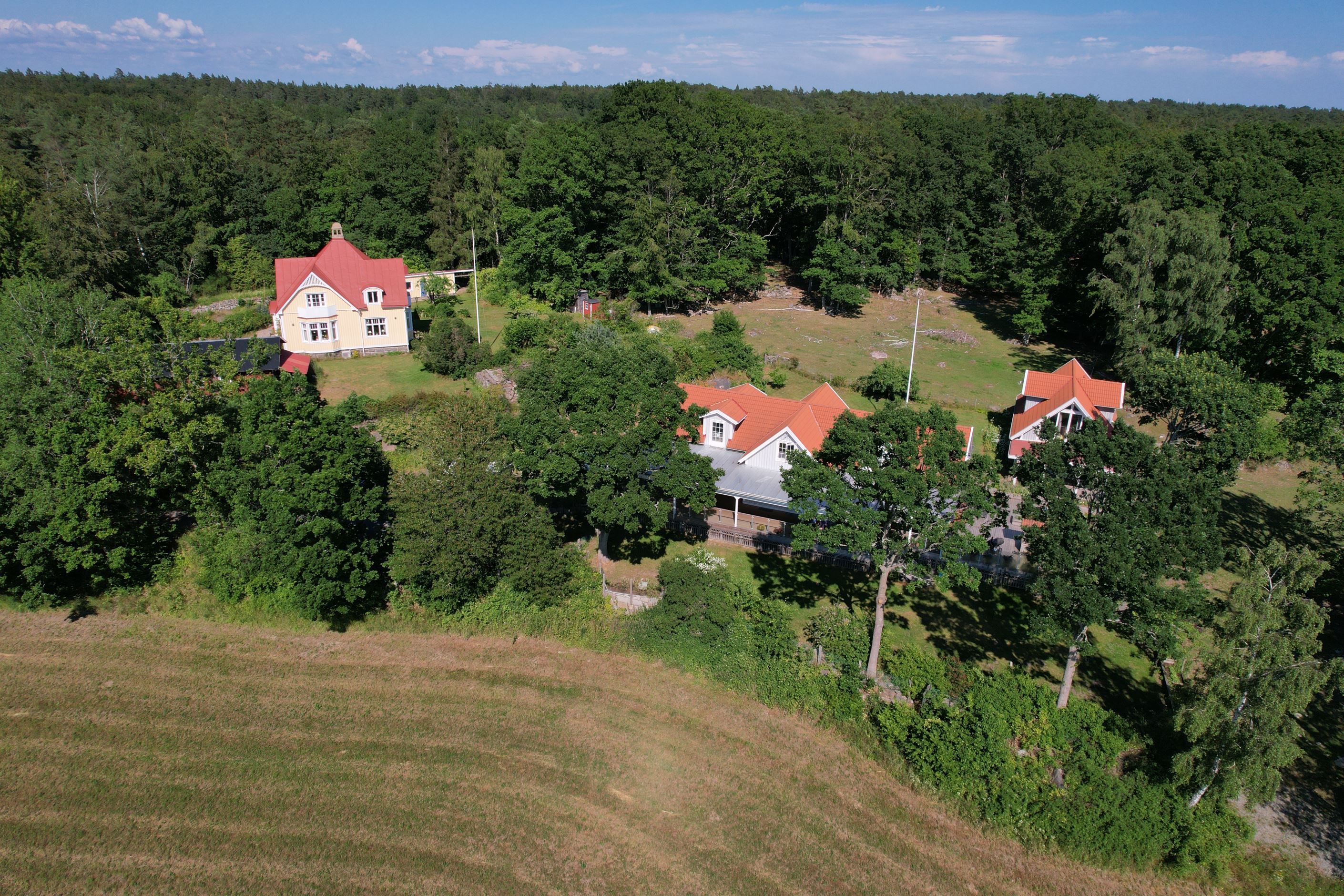 Säljarens bild