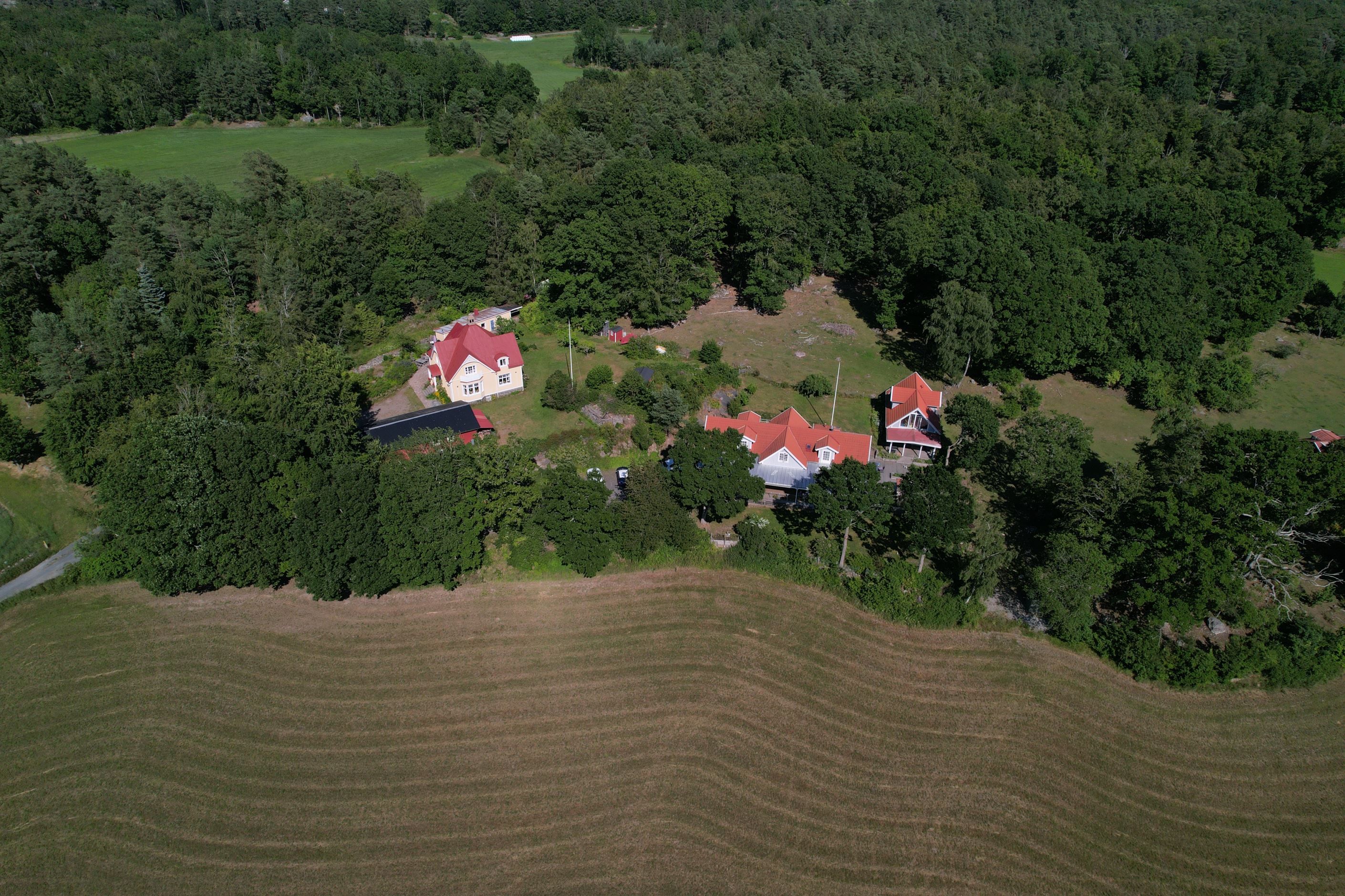 Säljarens bild