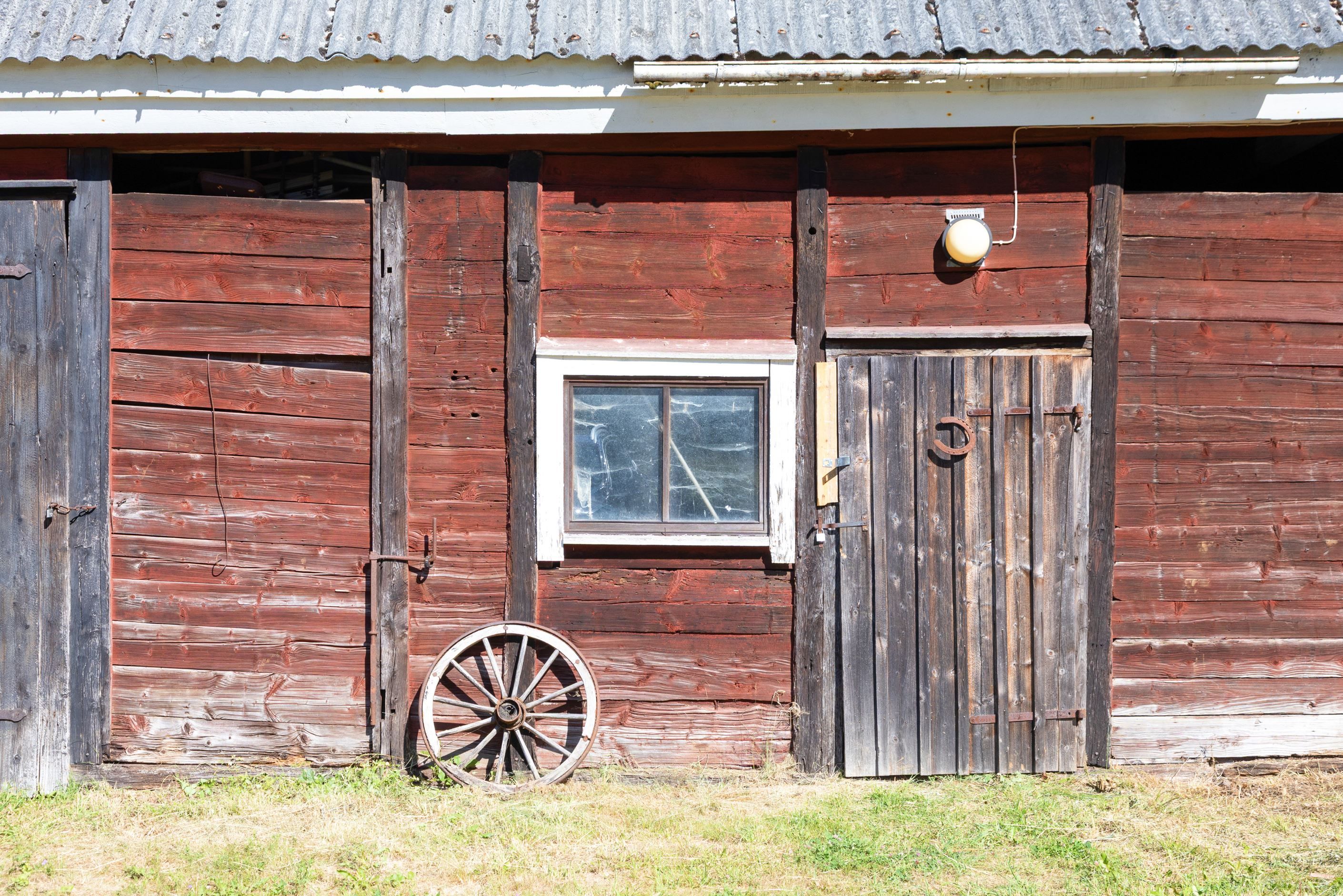 Exteriör