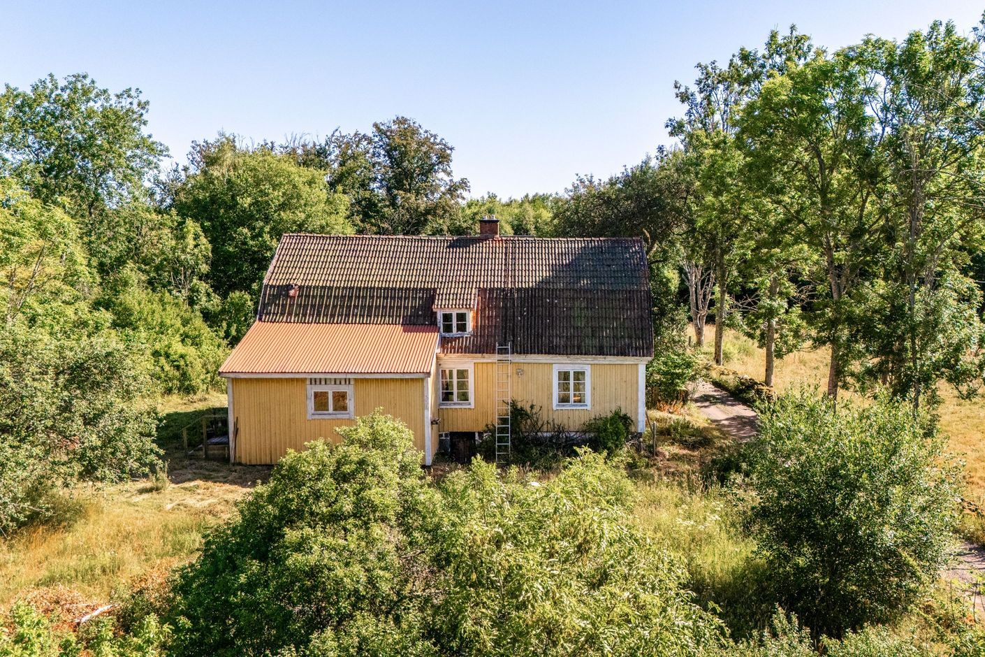Exteriör