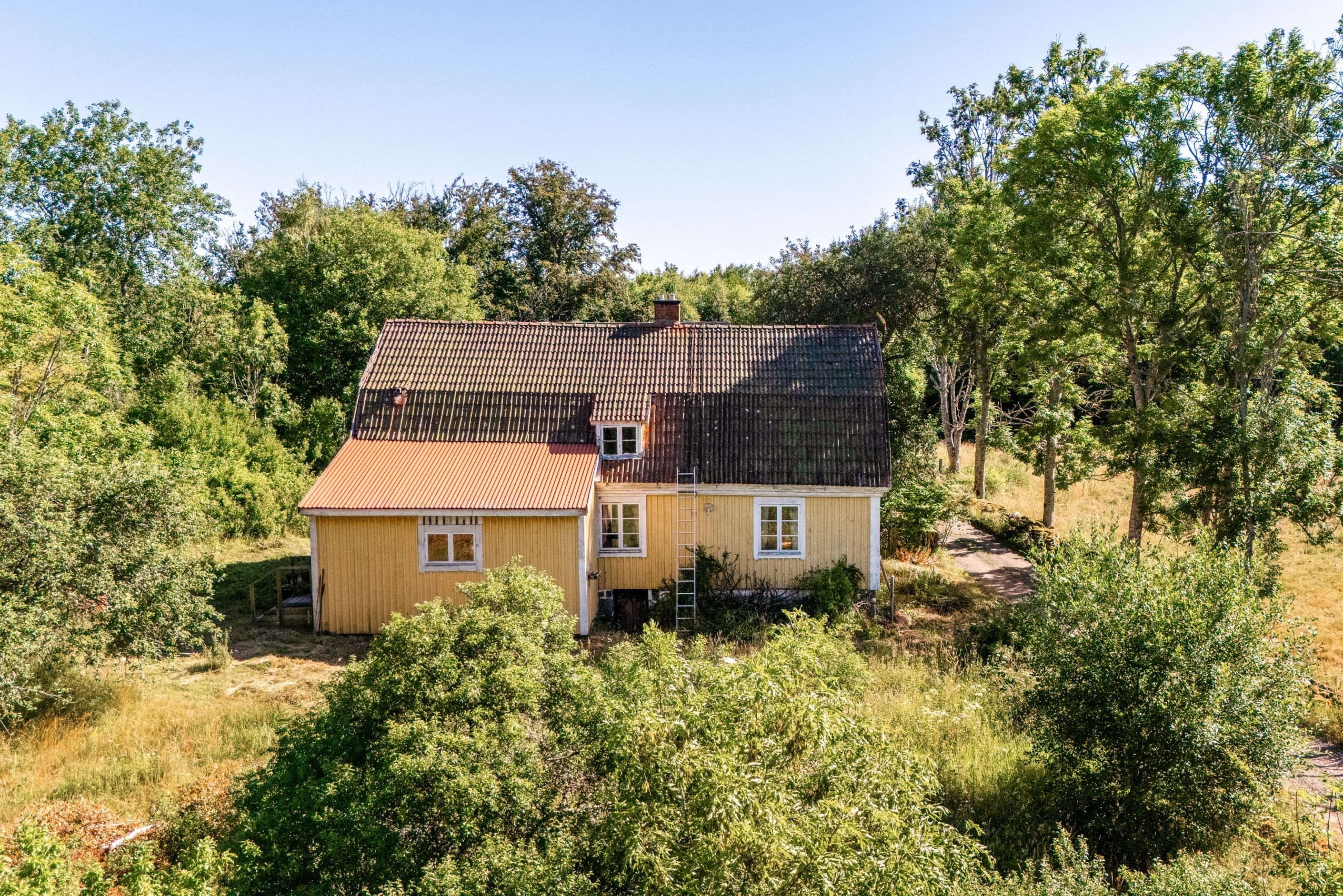 Exteriör