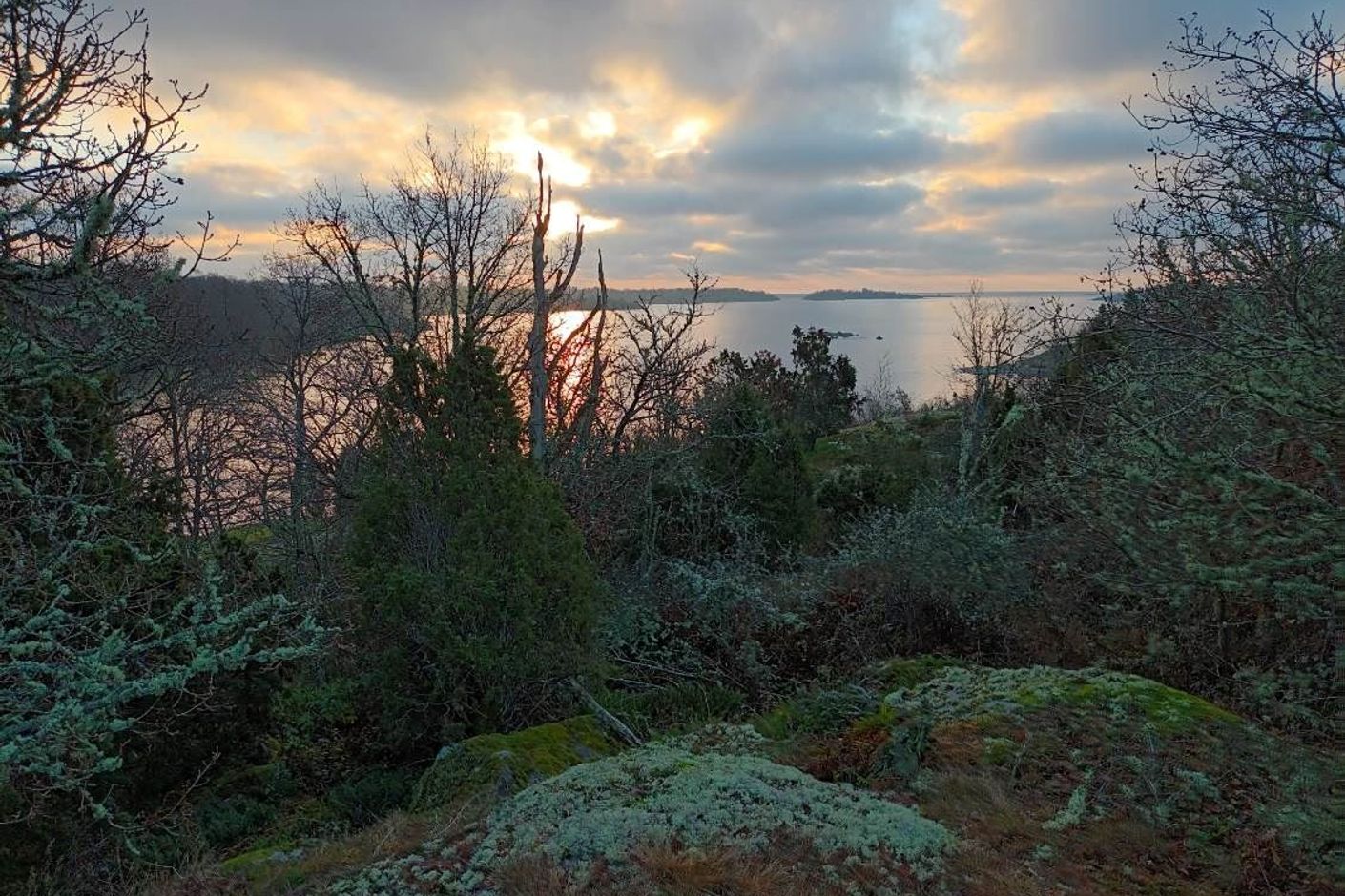 Säljarens bild