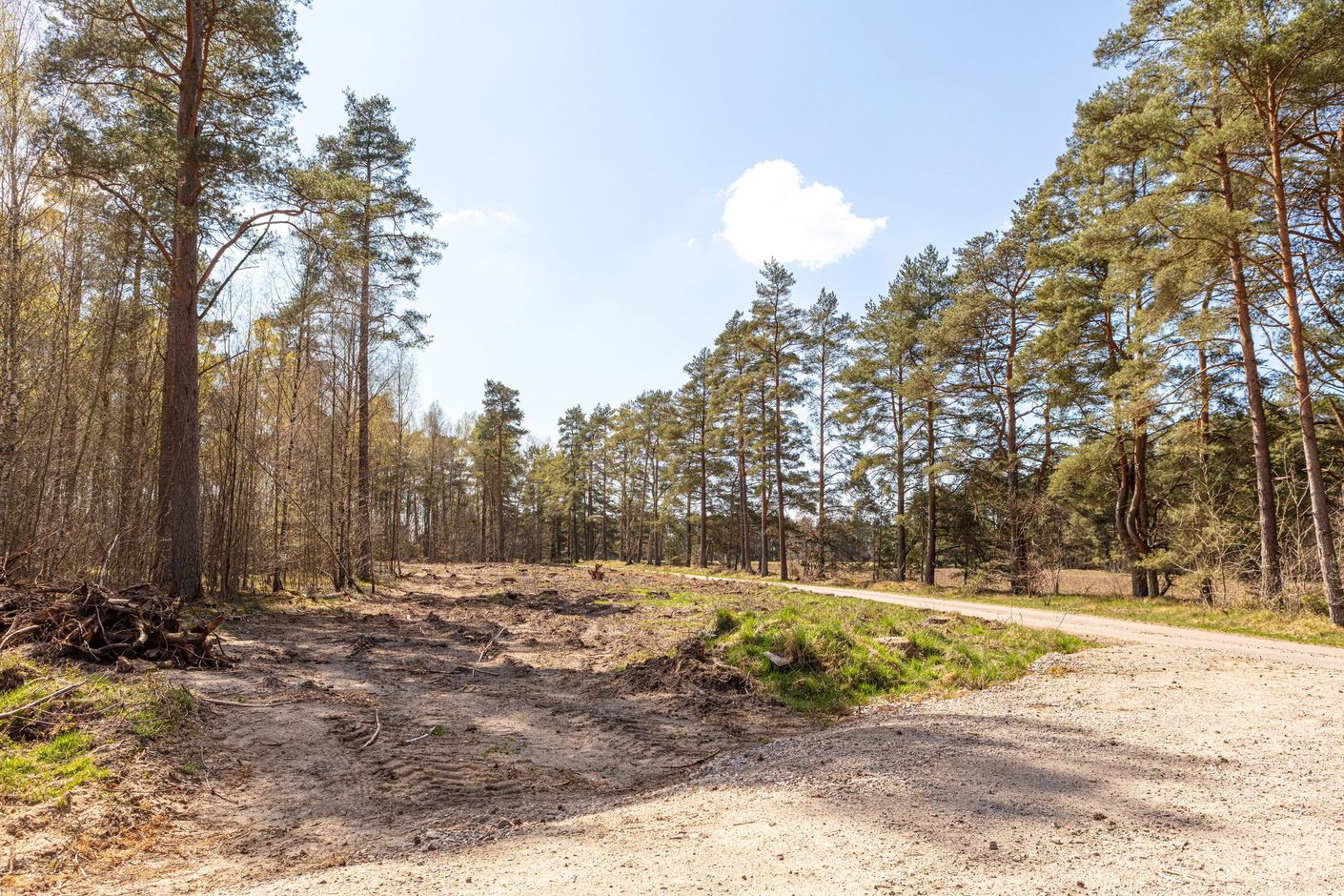 Svansjö 1:331 – bild 3