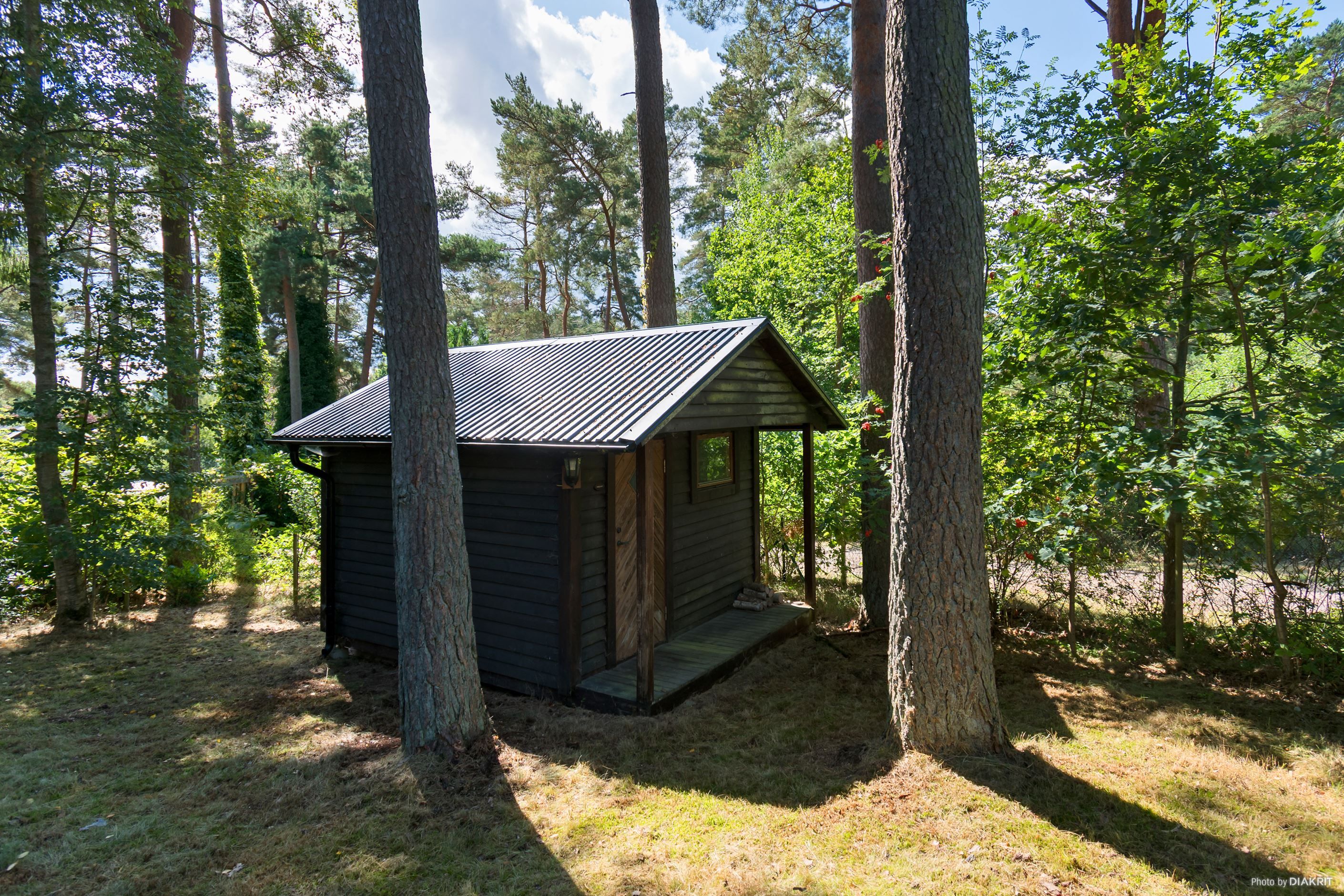 Exteriör