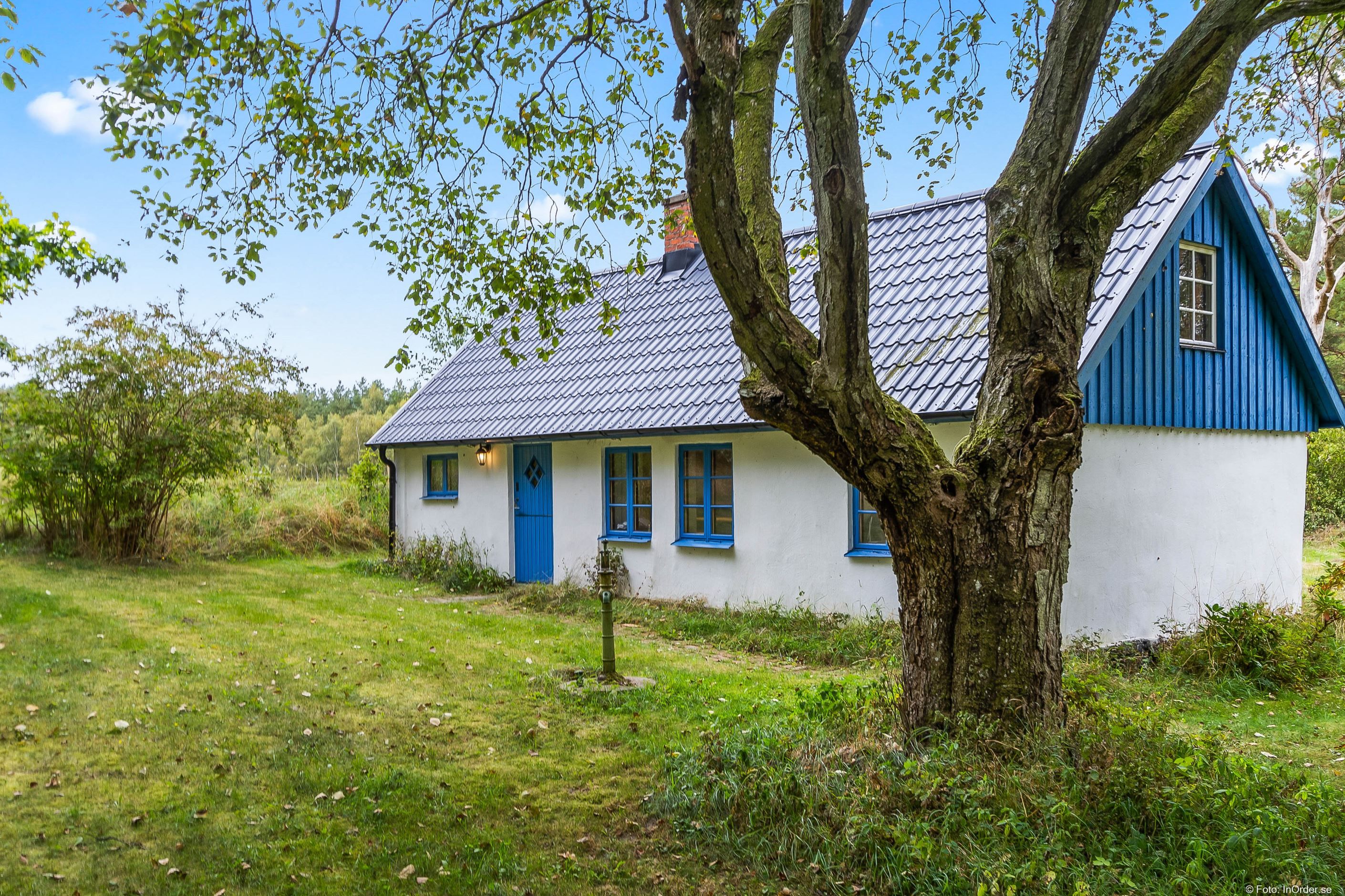 Exteriör