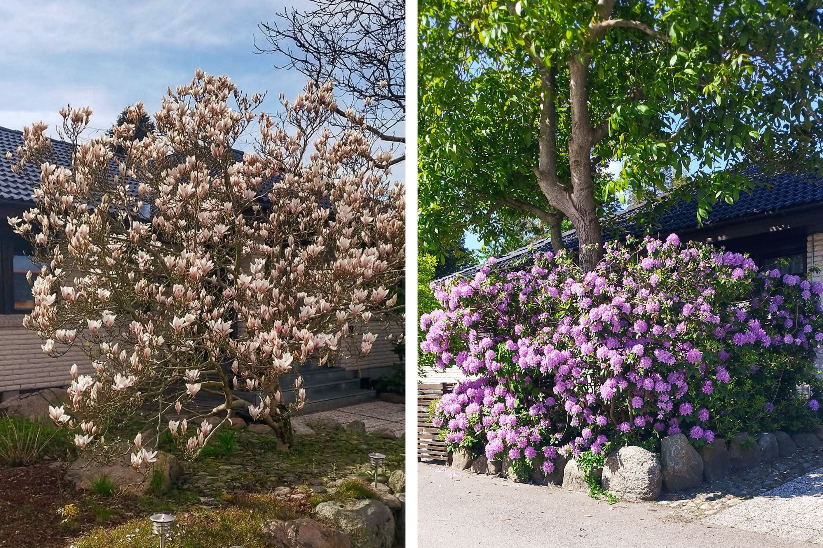 Säljarens eget foto