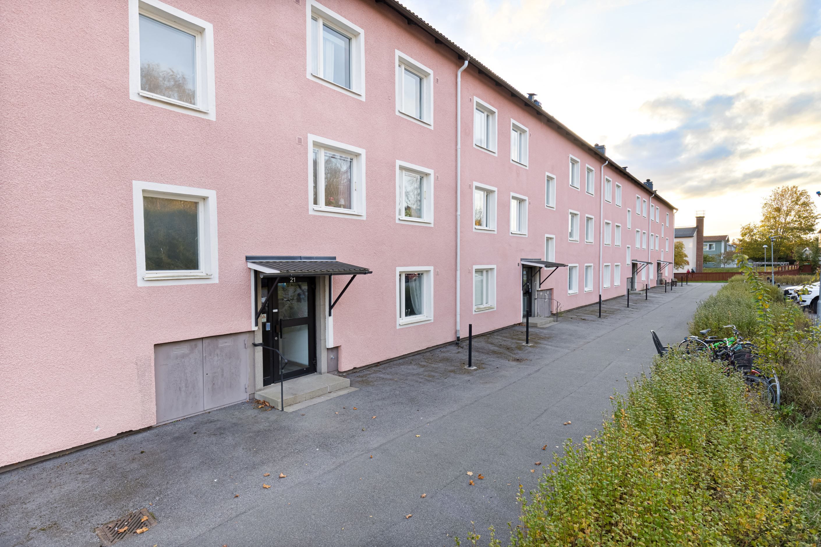 Exteriör
