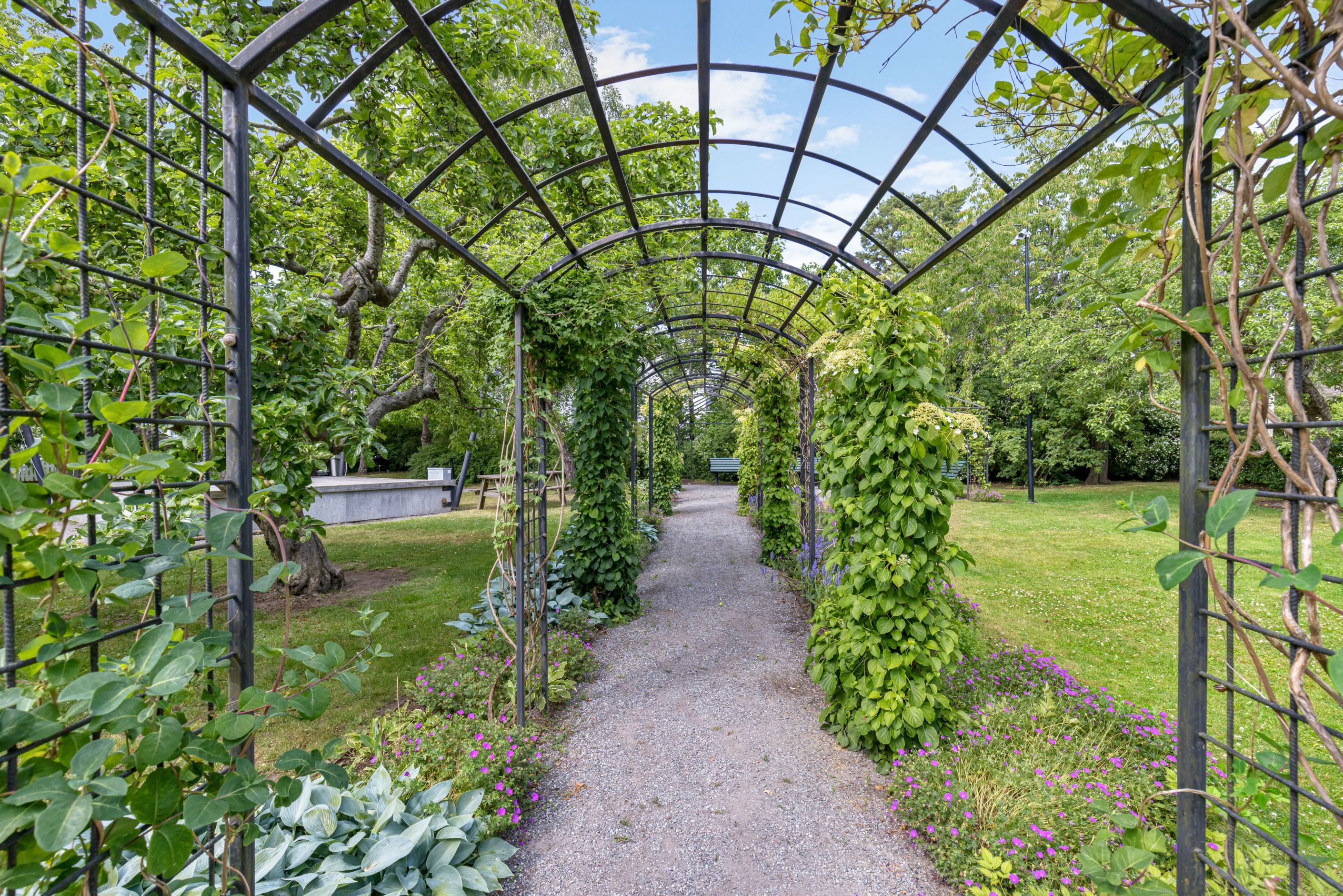 Området utanför huset