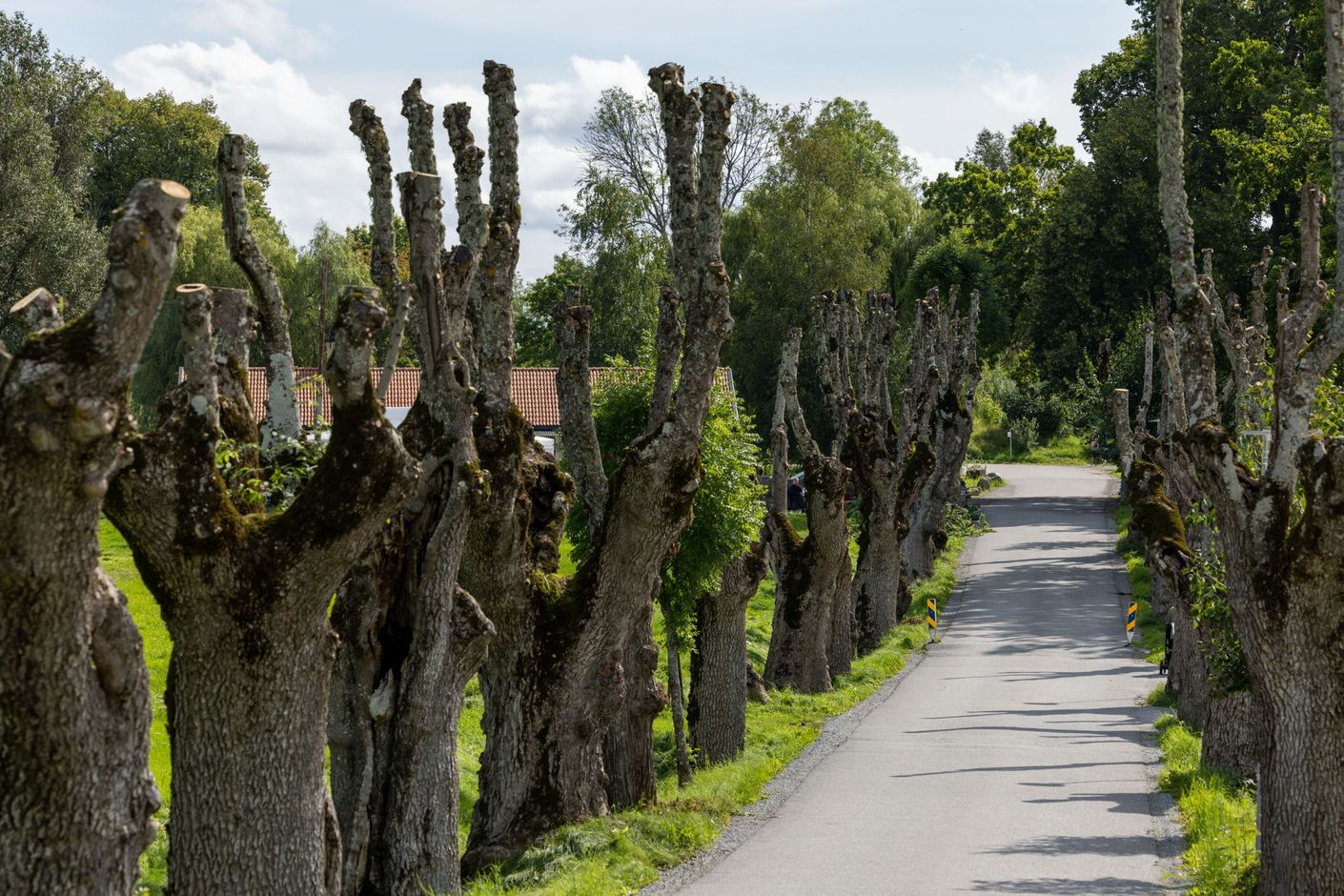 Områdesbild