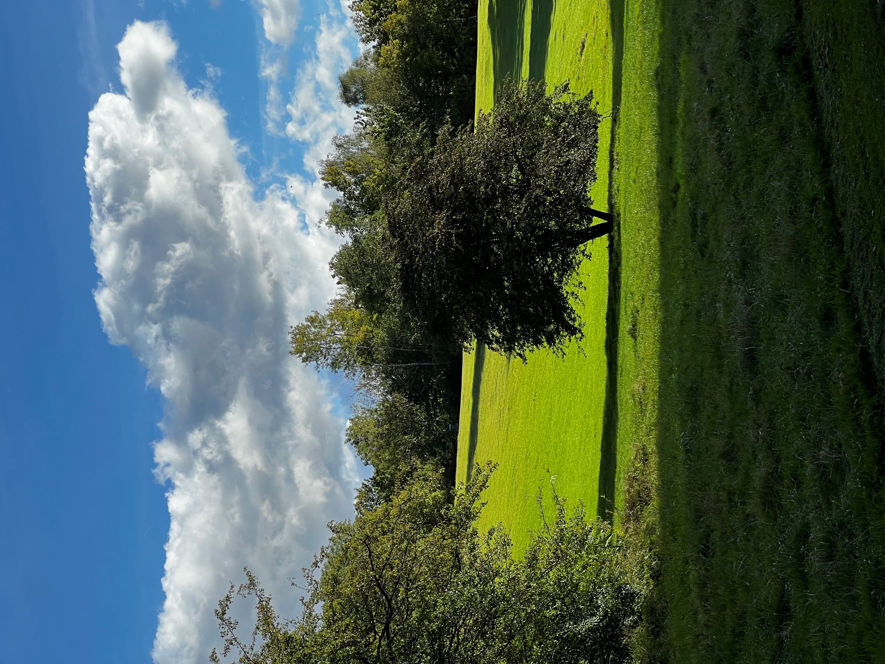 Säljarens egna bilder