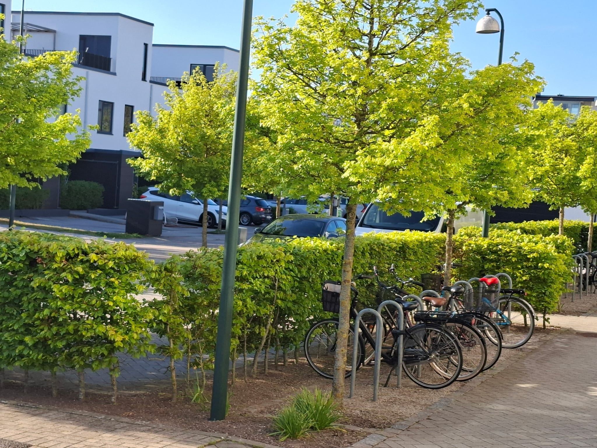 Säljarens bild
