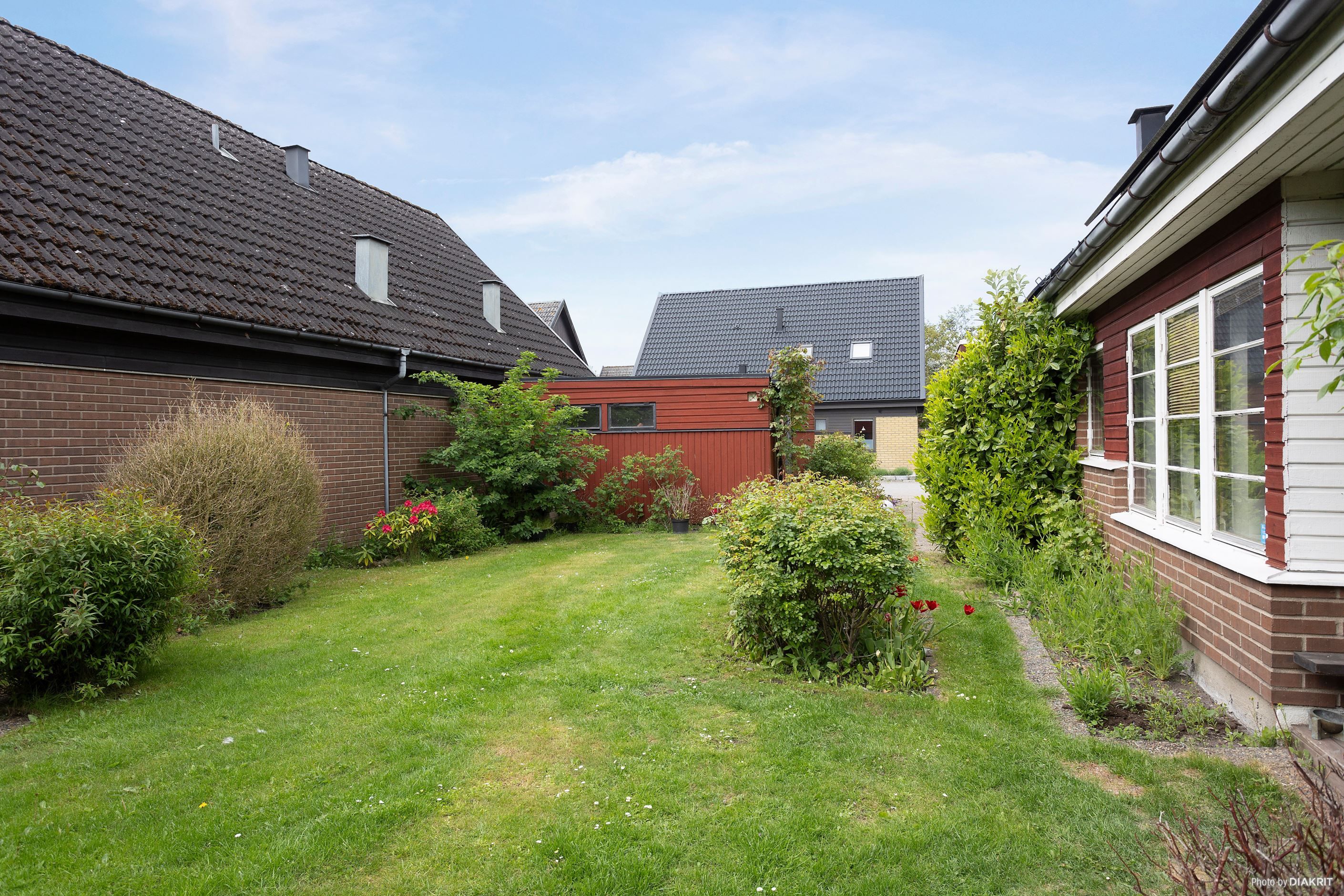 Trädgård