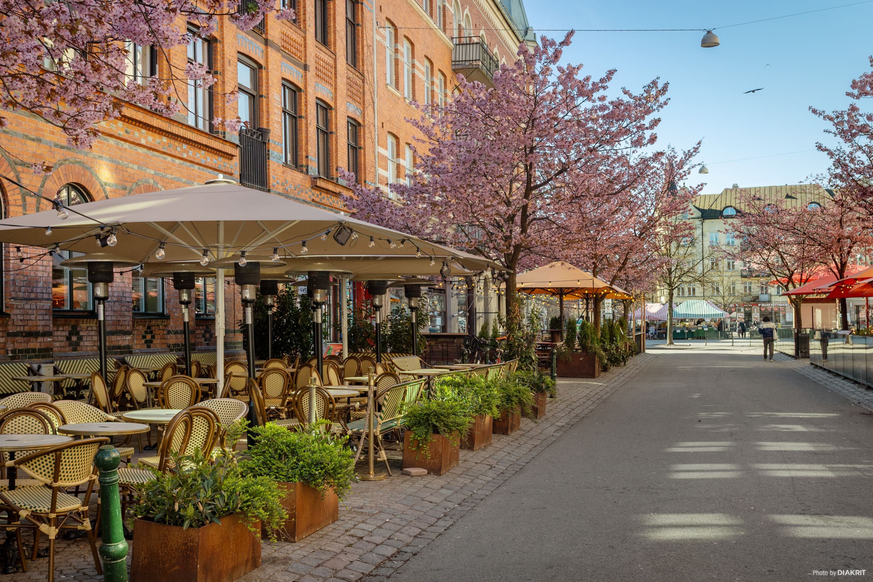 Möllevångstorget