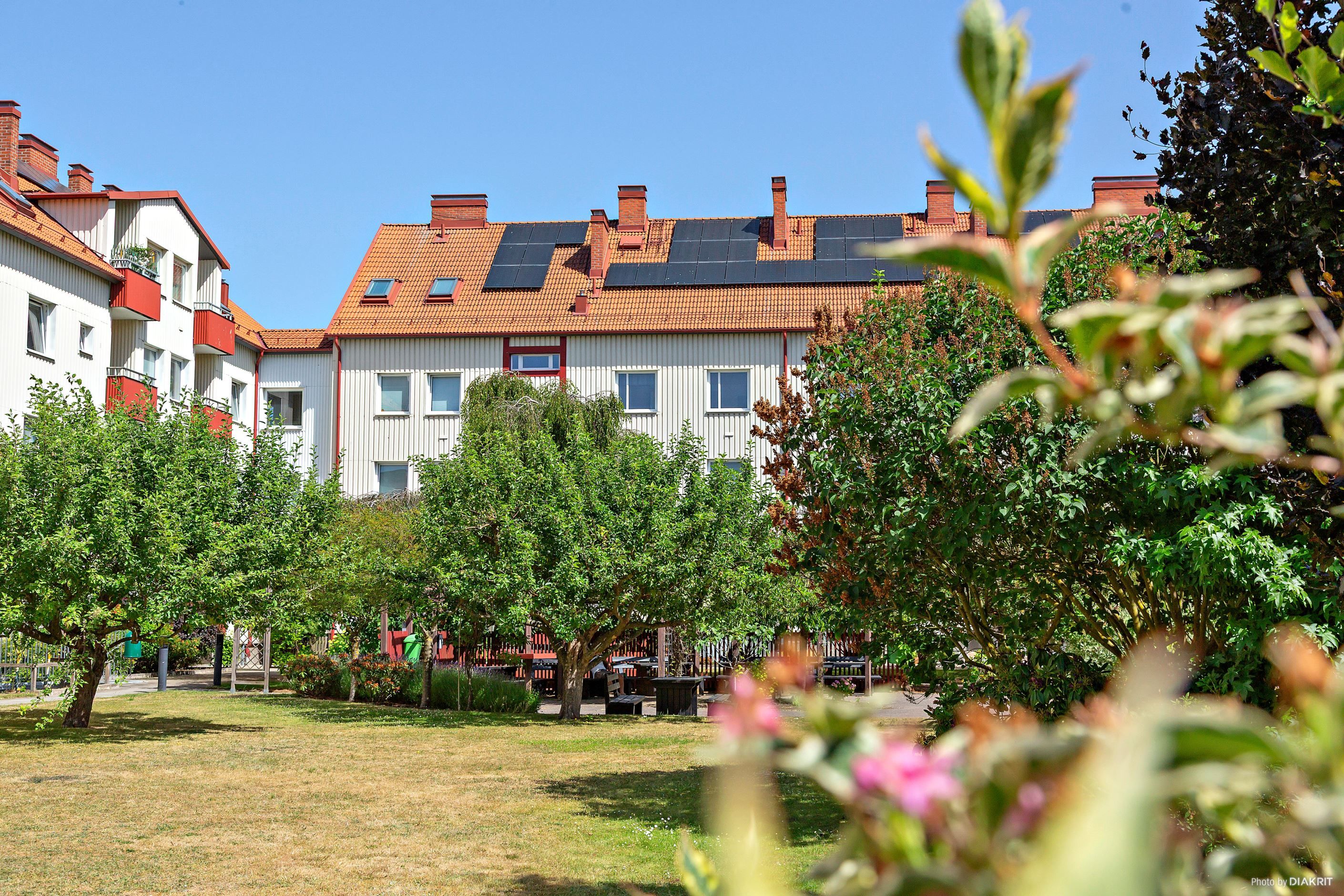 Gemensam innergård.