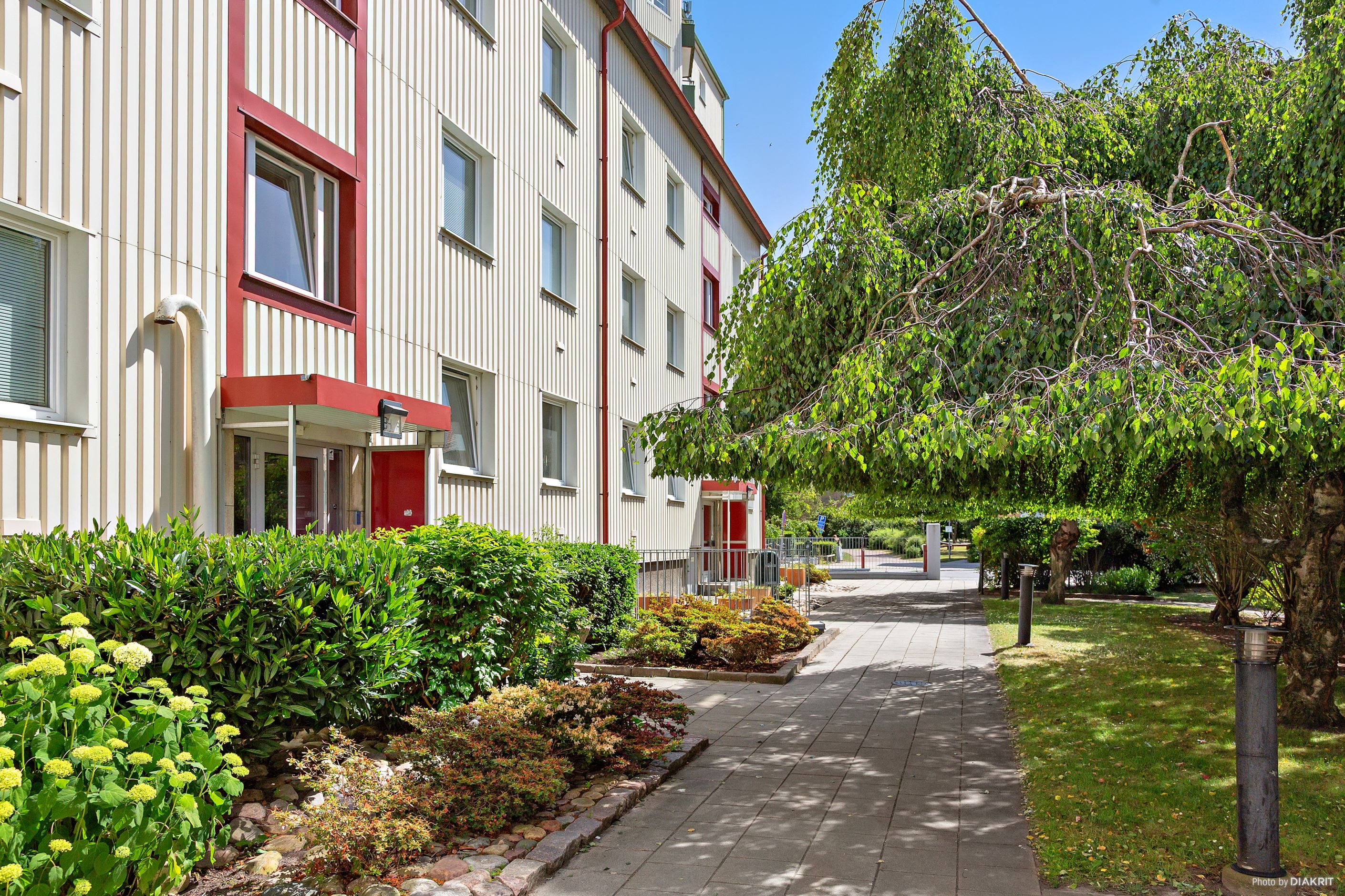 Gemensam innergård.