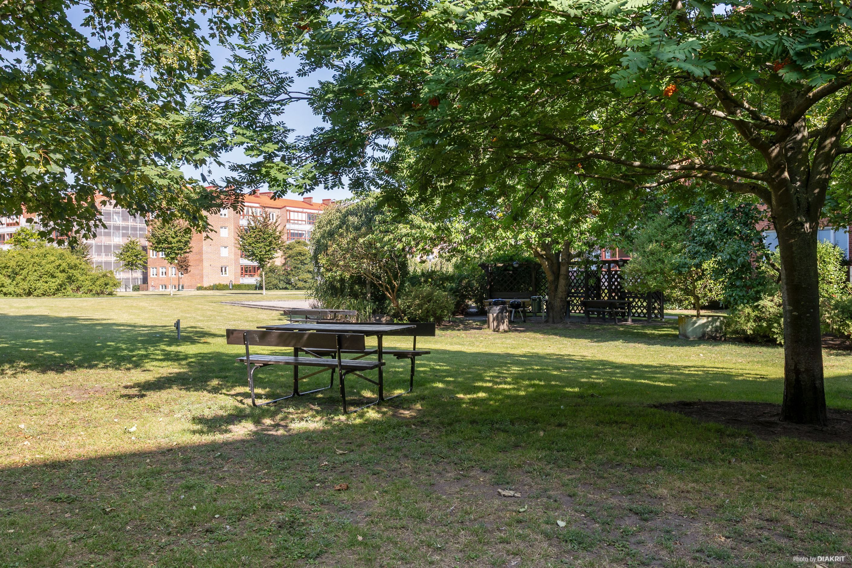 Gemensam innergård.