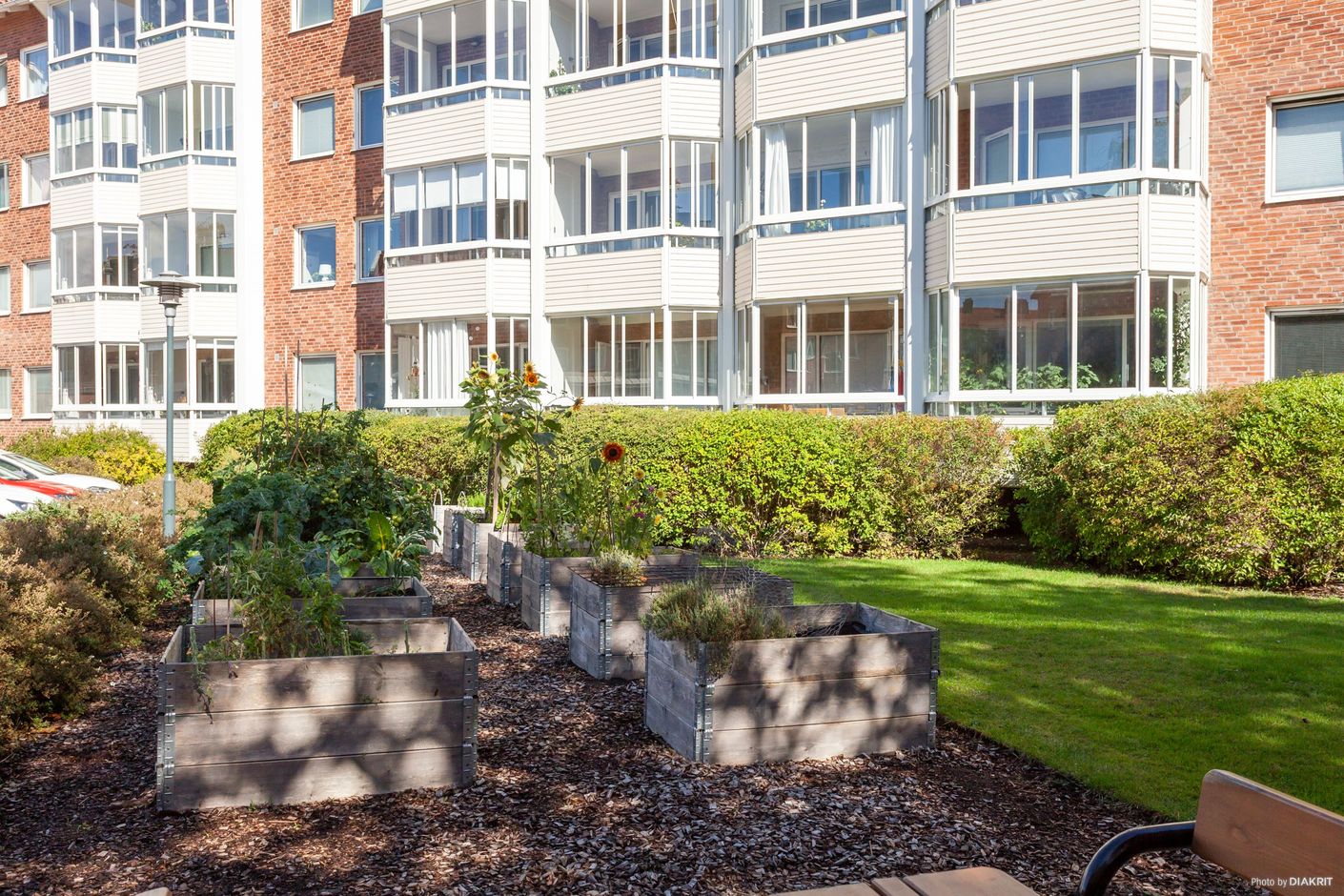 Exteriör