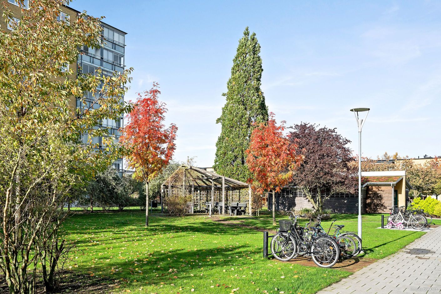 Exteriör
