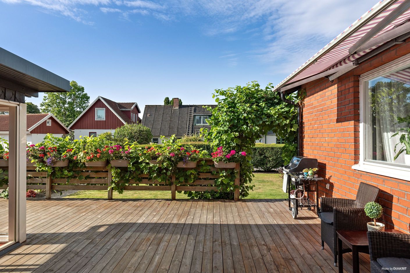Trädgård