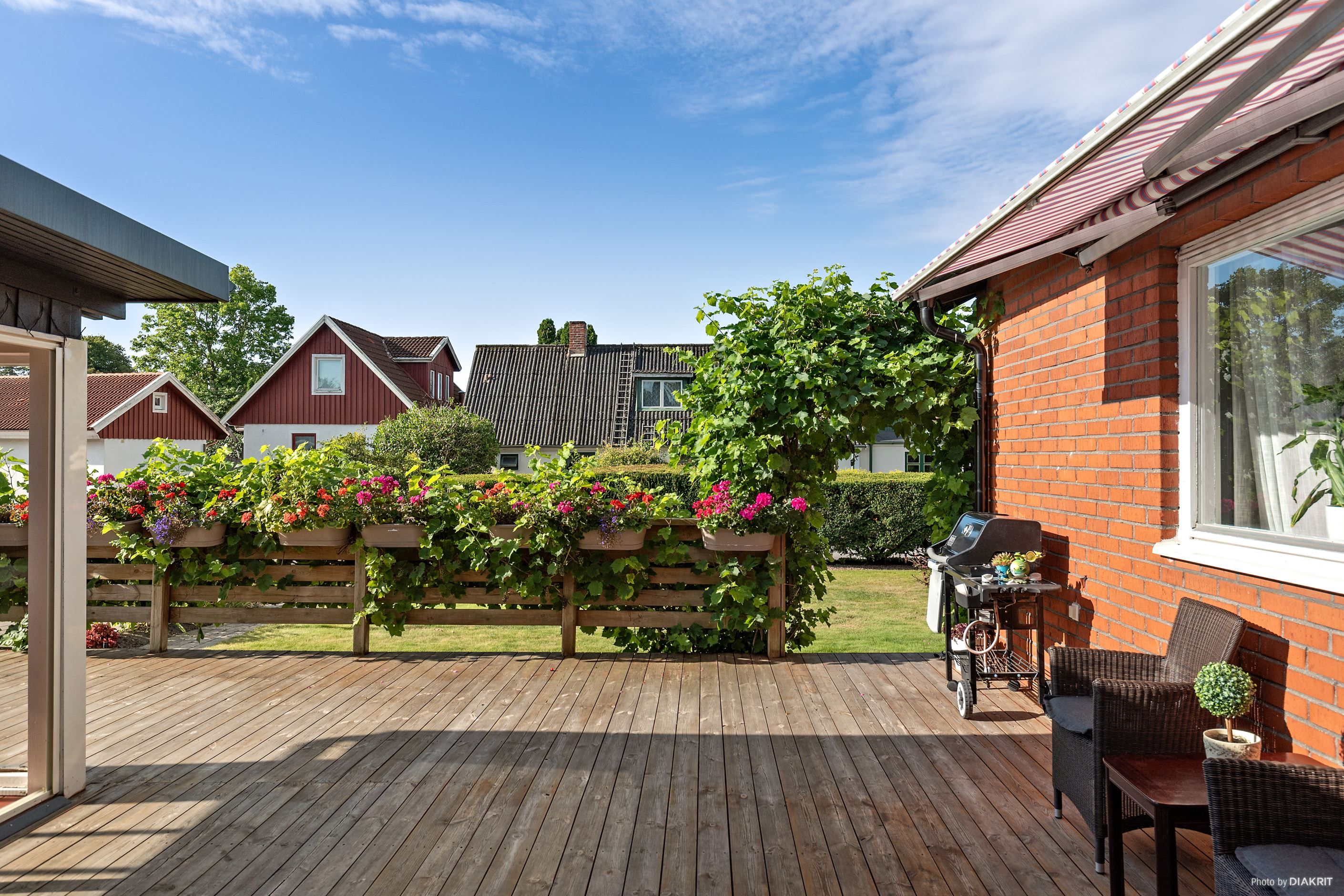 Trädgård