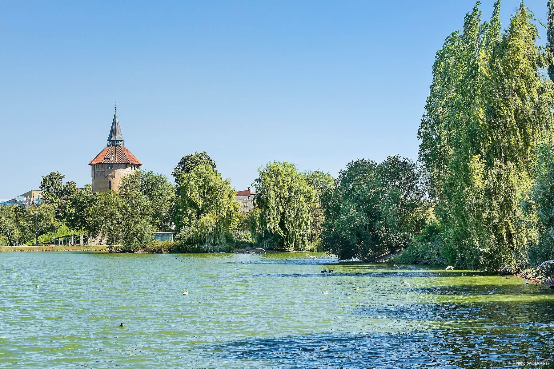 Pildammsparken