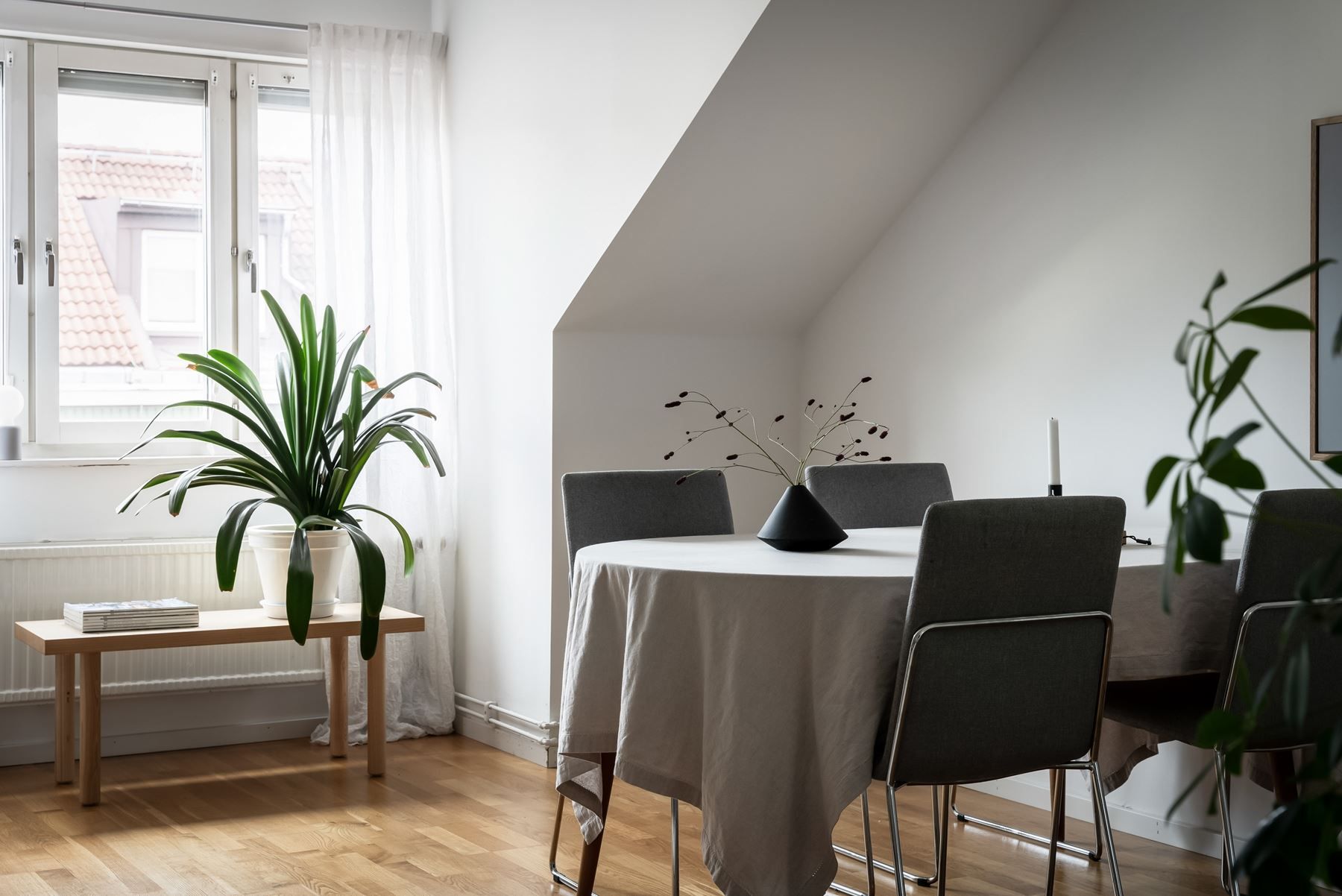 Rikligt ljusinsläpp!