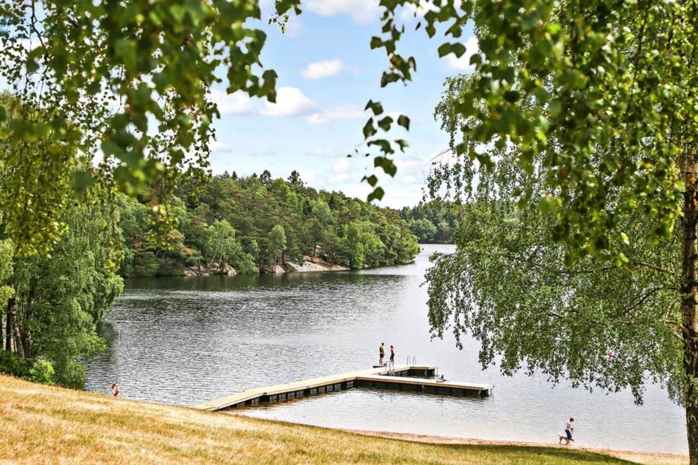 Lågupplöst Bad vid Delsjön
