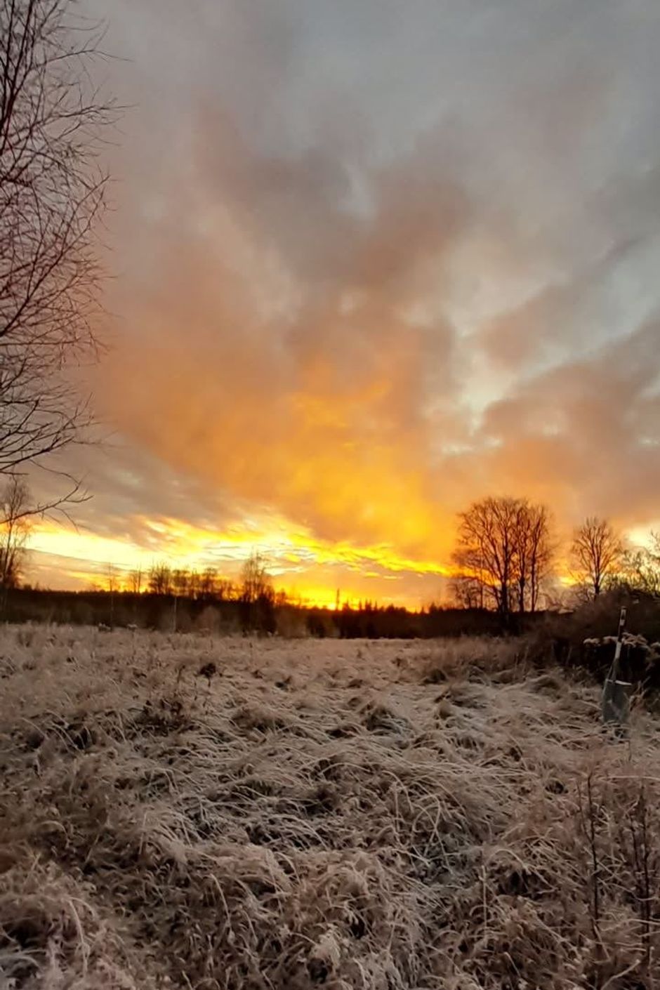 Stora ytor